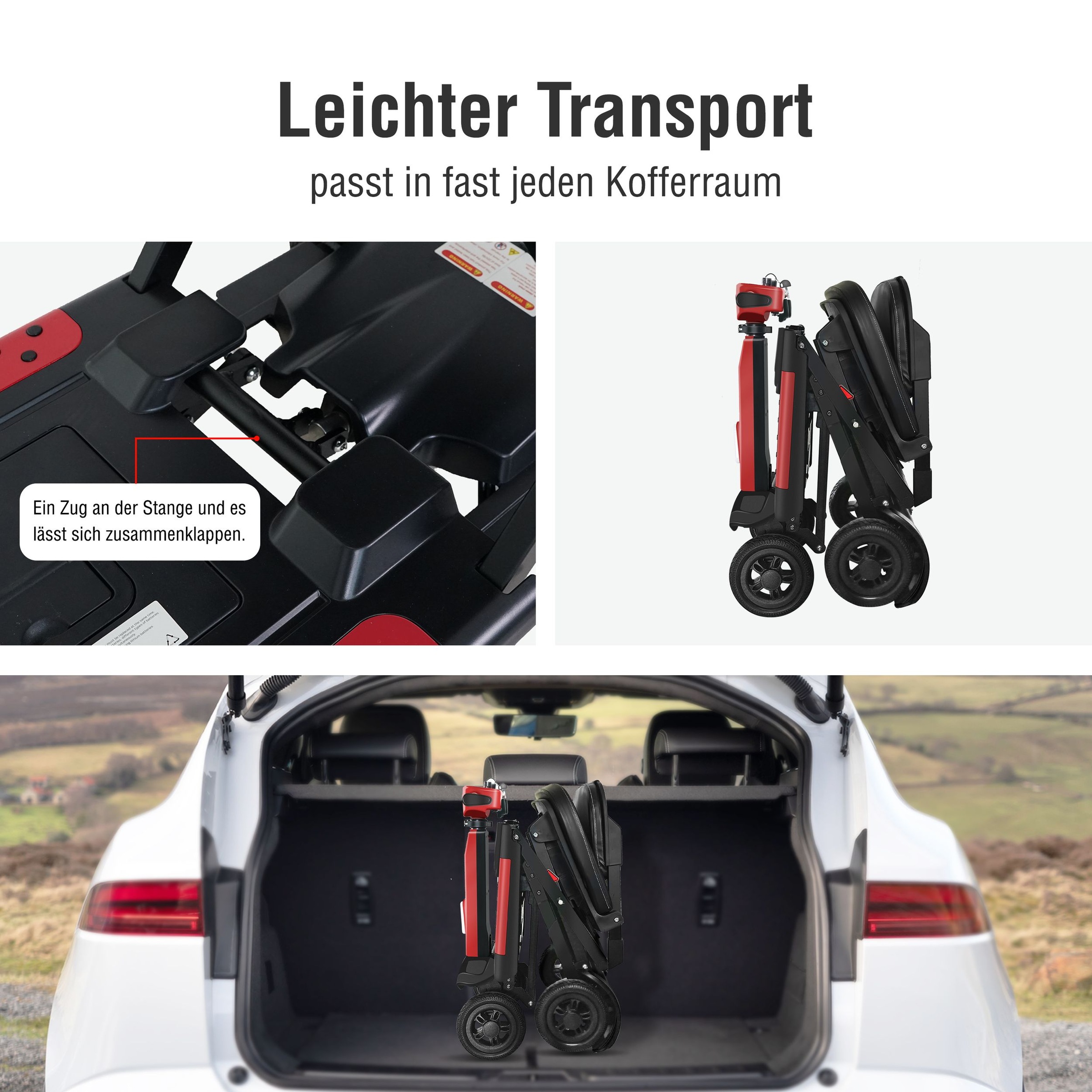 SachsenRad Elektromobil »BestAGE Seniorenmobil Kompakt« 270 W 6 km/h