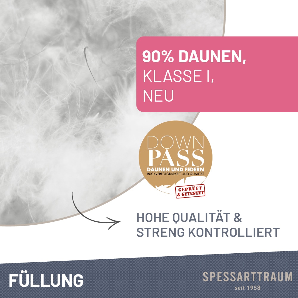 SPESSARTTRAUM Daunenbettdecke + Federkissen »First Class«, (Spar-Set), Sparset: 5 Wärmeklassen, 135x200 cm & 155x220 cm