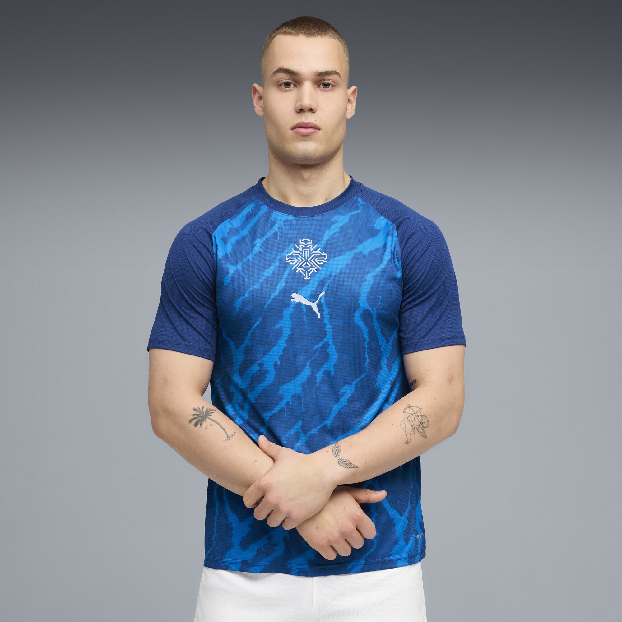 PUMA Trainingsshirt »Island Aufwärmtrikot Herren«