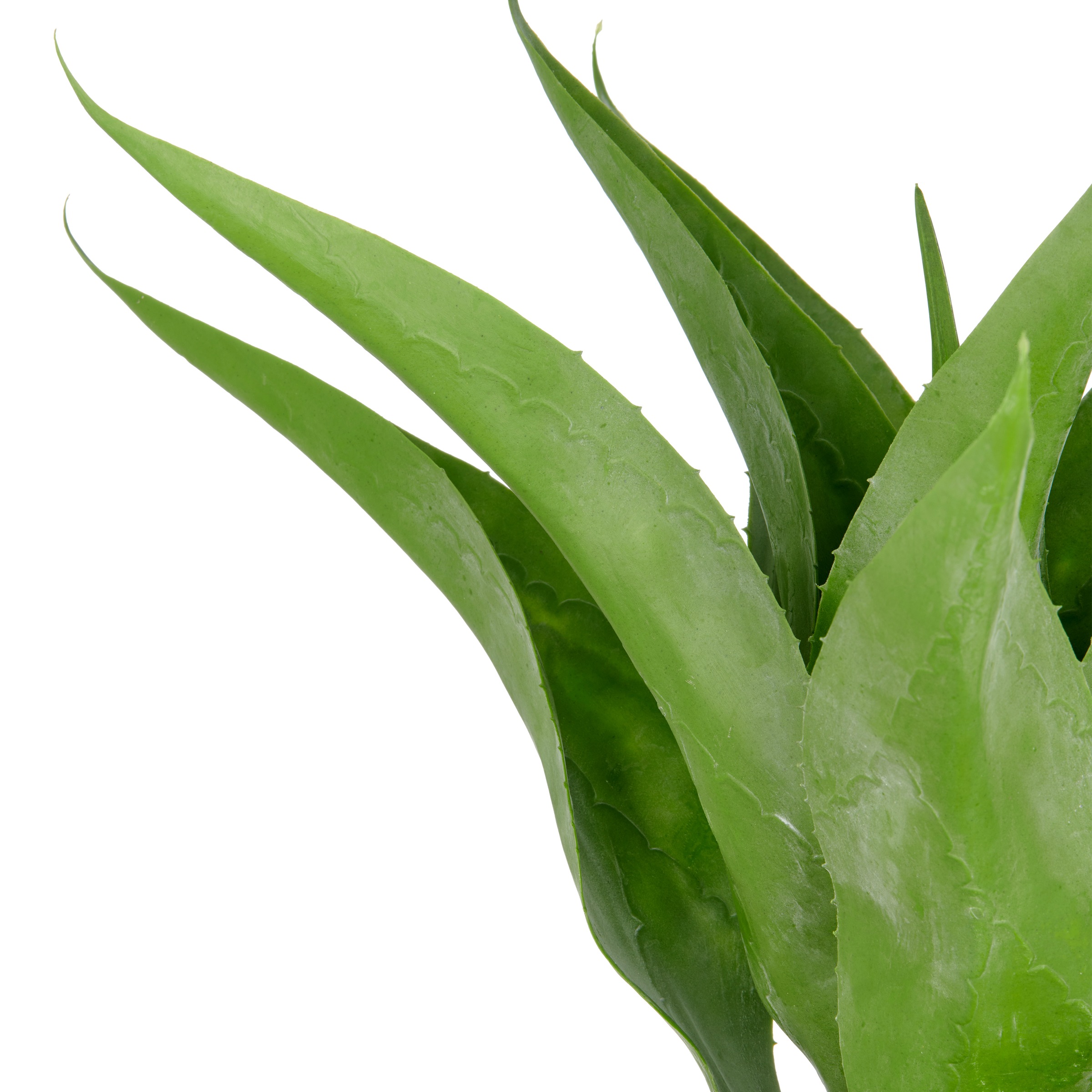 Creativ green Kunstpflanze "Agave", mit 13 Agavenblättern günstig online kaufen