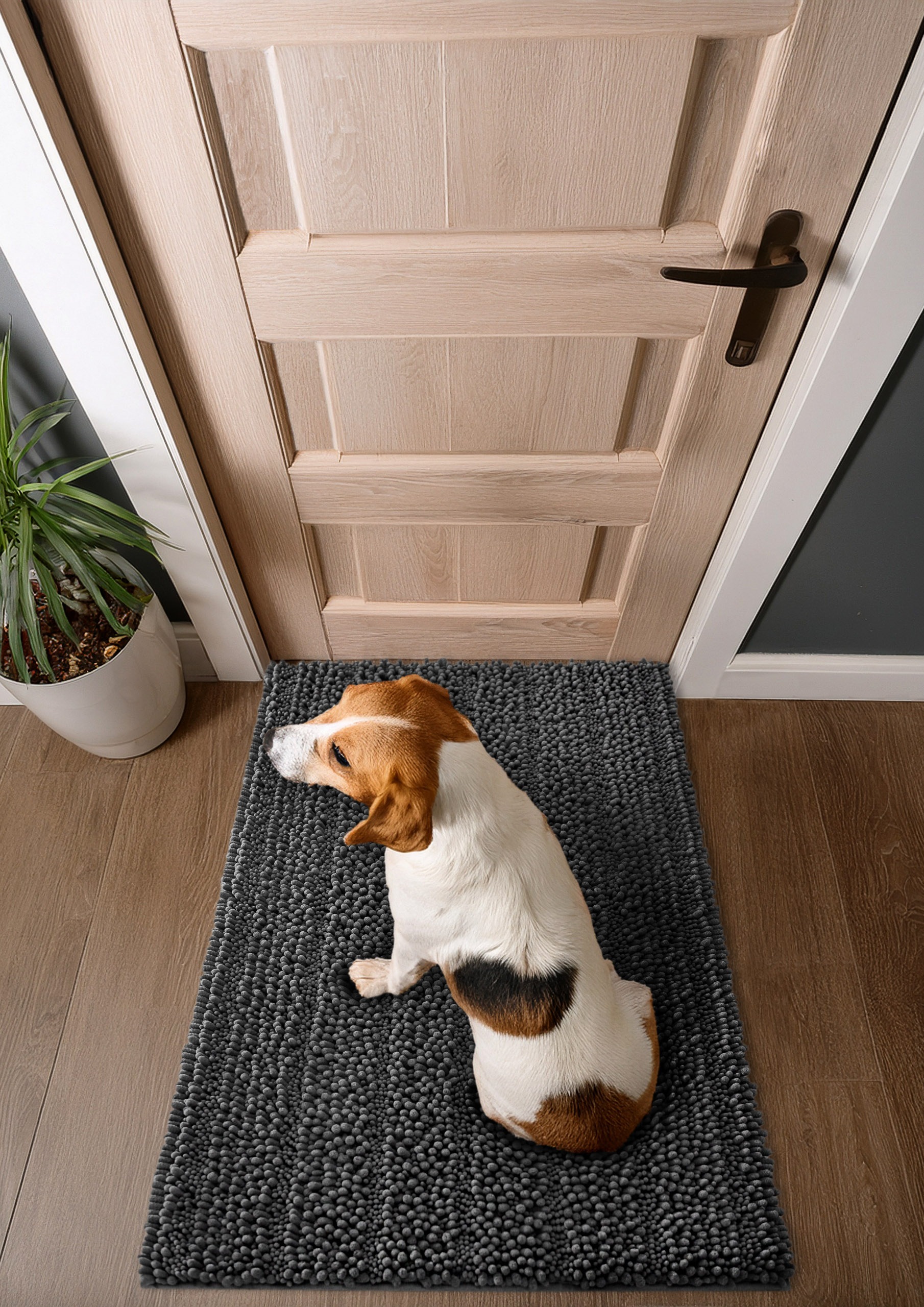 Wecon home Teppich "Cooper" rechteckig 22 mm Höhe Haustierteppich, rutschfe günstig online kaufen