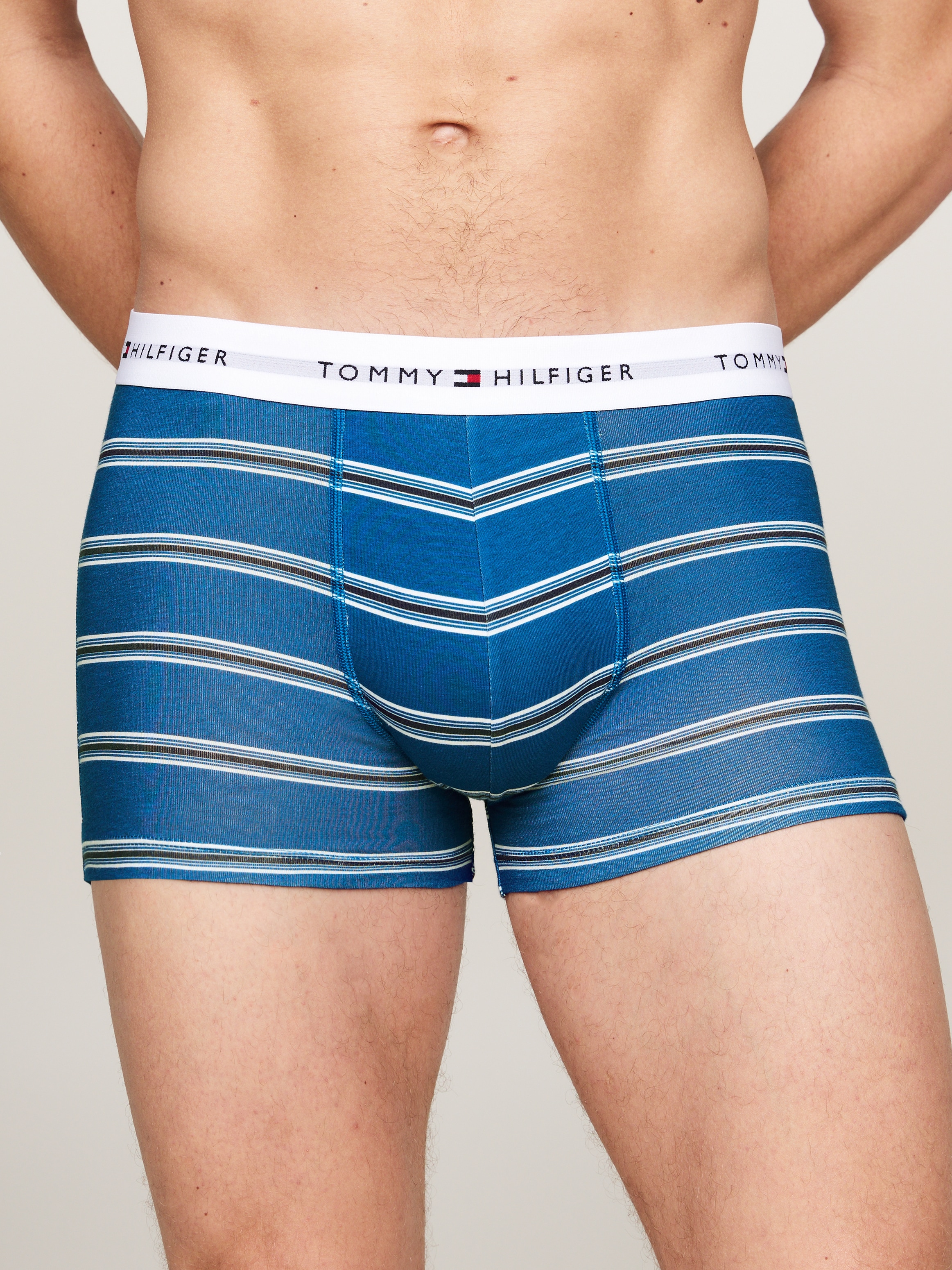 Tommy Hilfiger Underwear Trunk »3P TRUNK PRINT«, (Packung, 3 St., 3er), mit Print