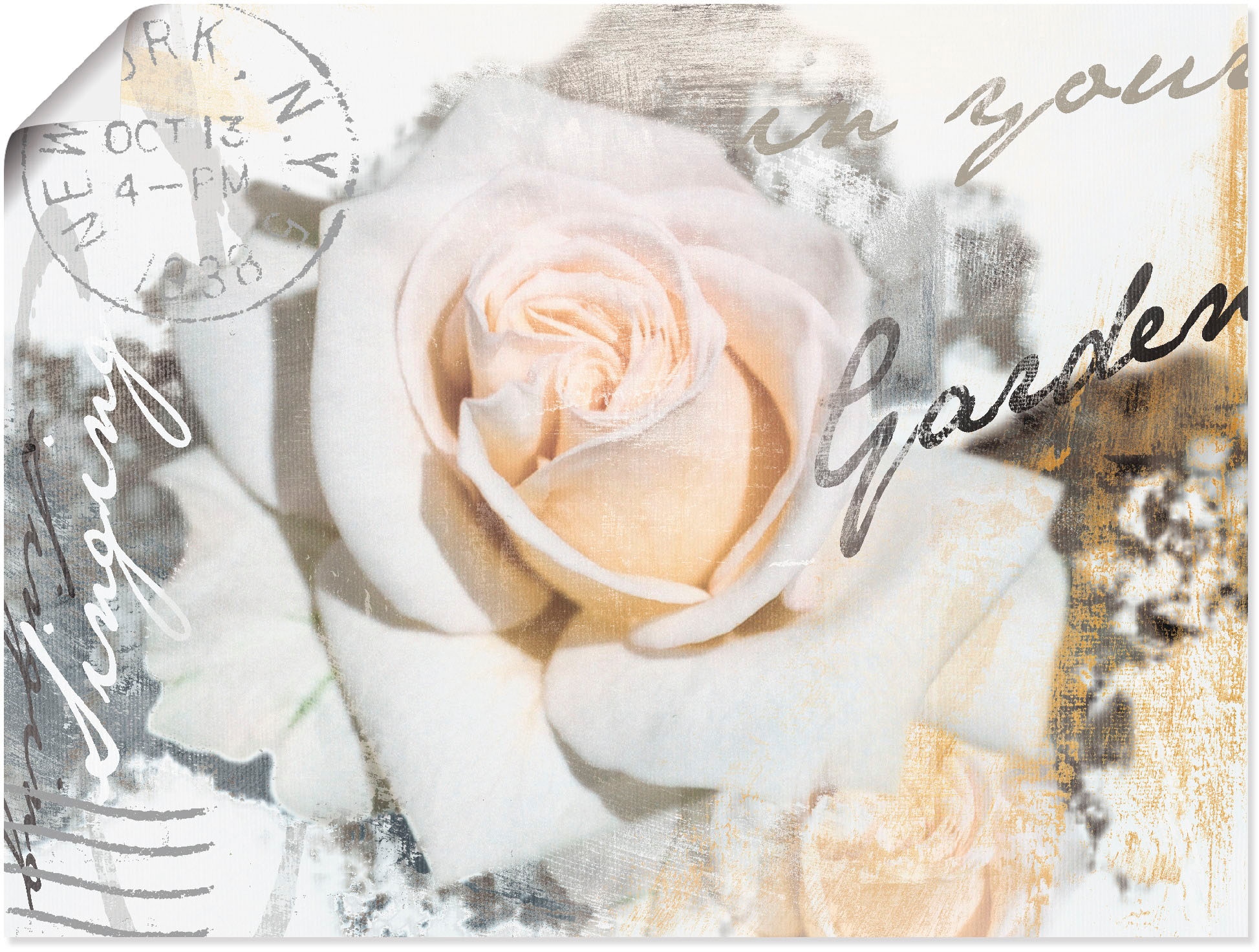 Wandbild »In Buchstaben - Rose«, Blumen, (1 St.), als Leinwandbild, Poster,...