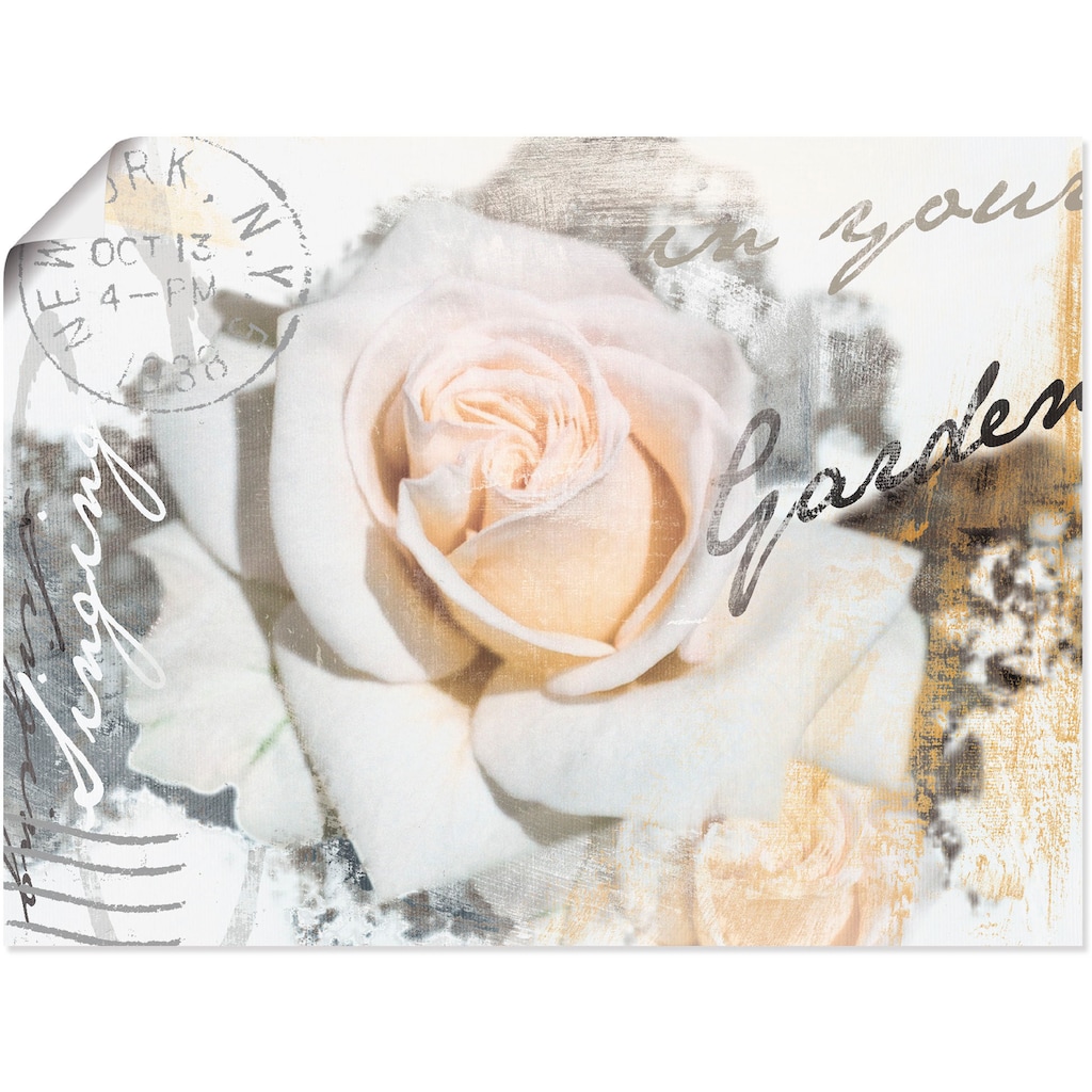 Artland Wandbild »In Buchstaben - Rose«, Blumen, (1 St.)