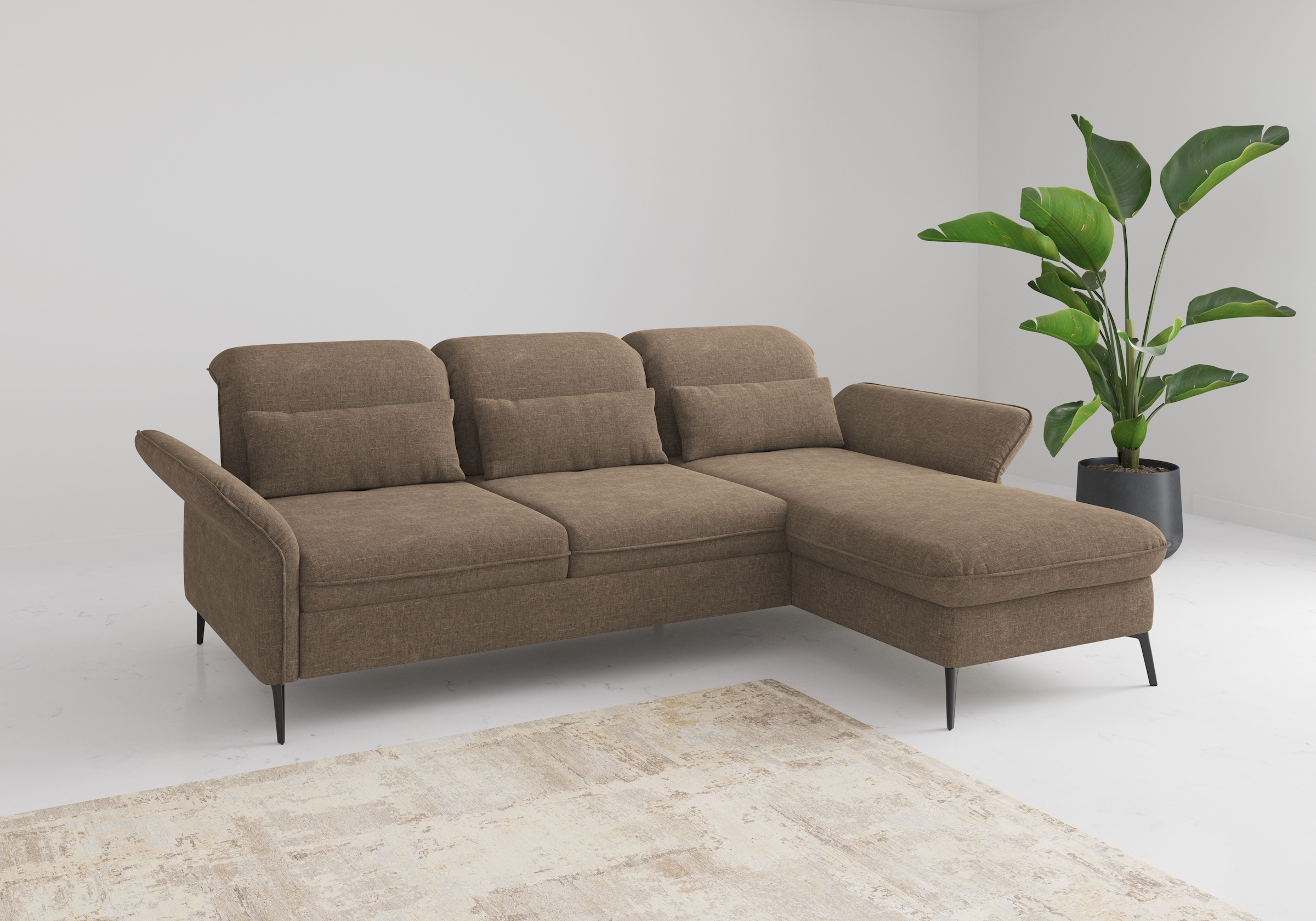 sit&more Ecksofa "Emely", mit Sitztiefenverstellung optional mit Bettfunkti günstig online kaufen