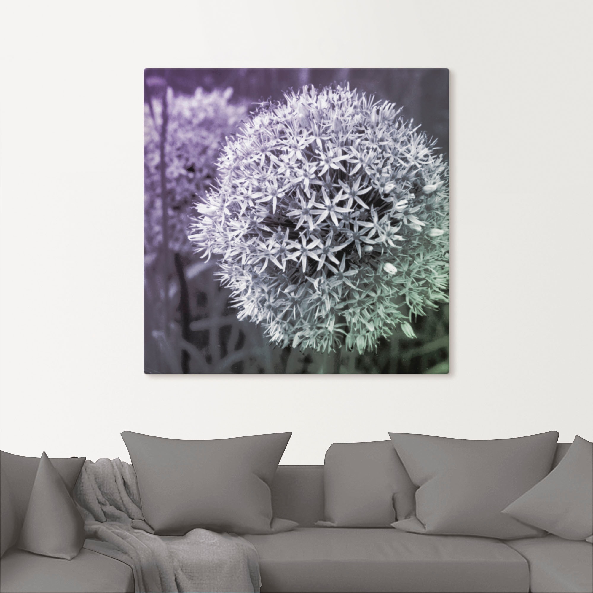 Artland Wandbild "Lila Sensation I", Blumen, (1 St.), als Alubild, Outdoorb günstig online kaufen