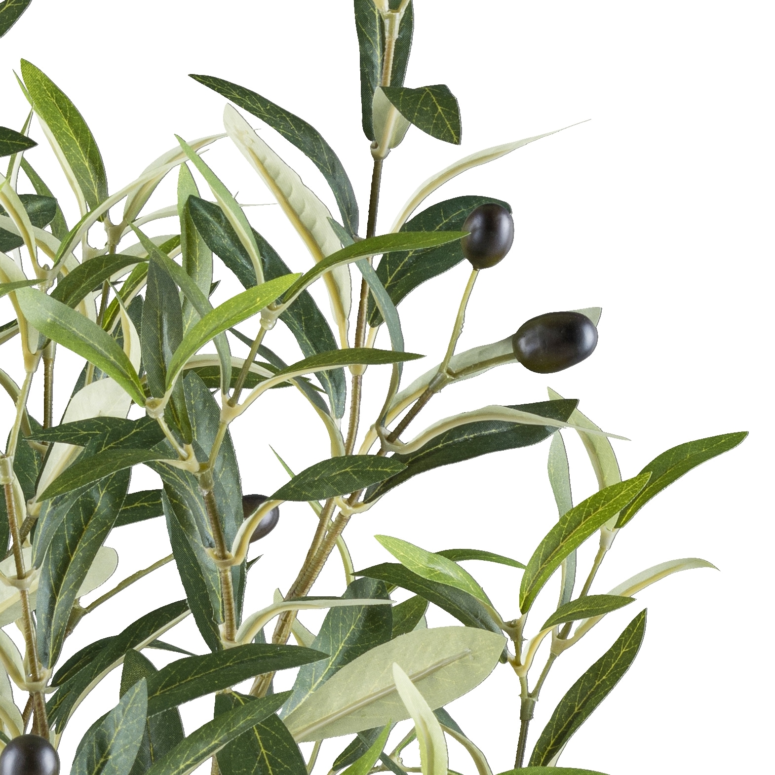 Creativ green Kunstpflanze »Olive«, mit detailgetreuer Gestaltung