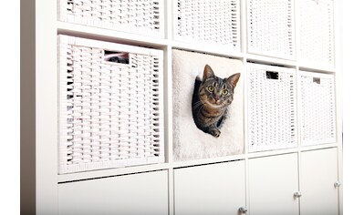 TRIXIE Tierbett »passend für z.B. IKEA Kallax oder Expedit«, Katzenhoehle kaufen