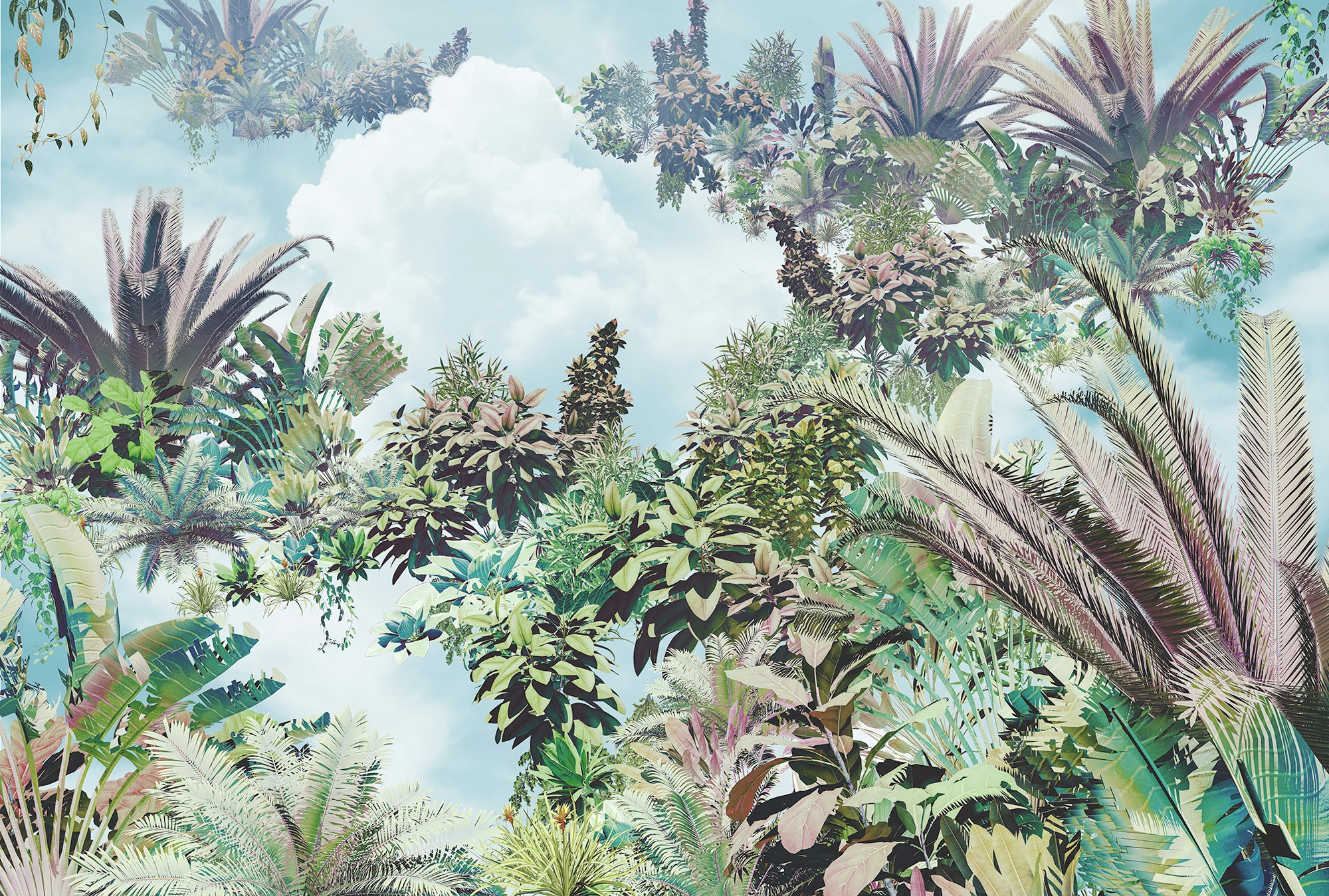 Komar Vliestapete »Tropical Heaven« 368x248 ...