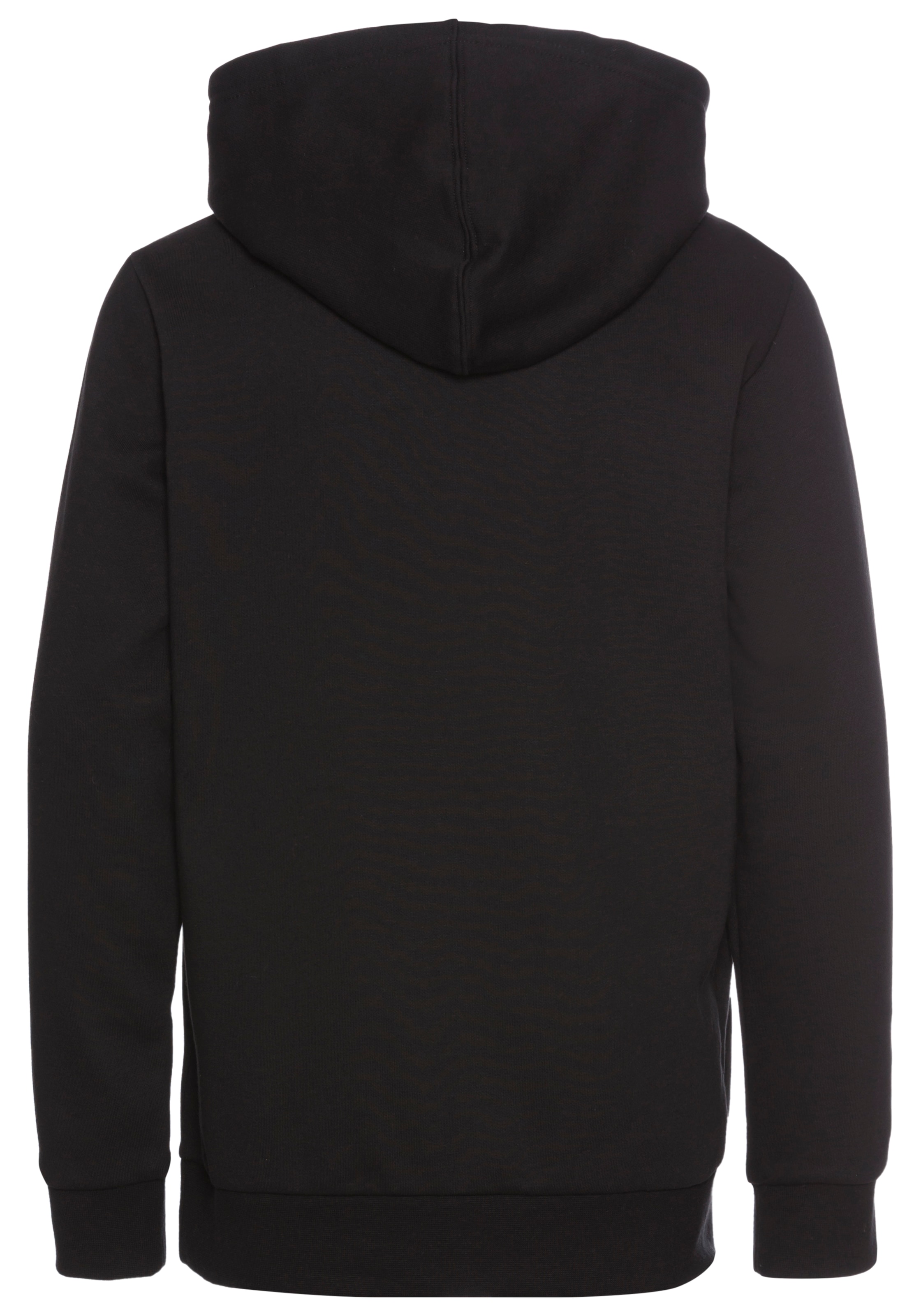 Champion Kapuzensweatshirt »Hooded Sweatshirt«