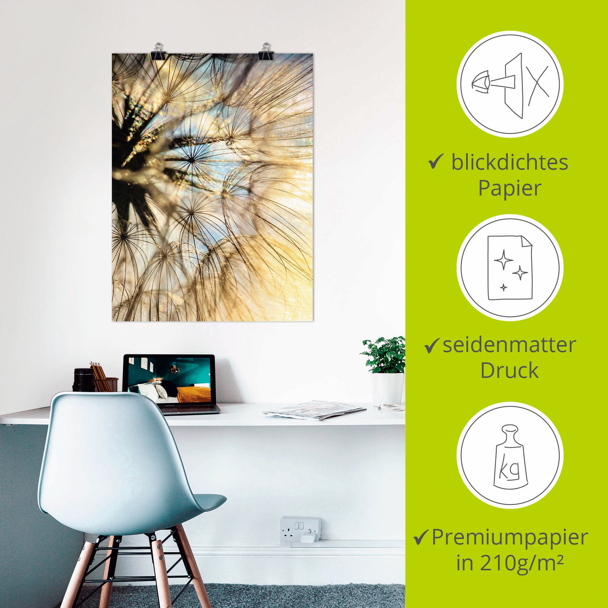 Artland Wandbild »Pusteblume Poesie«, Blumen, (1 St.), als Leinwandbild, Poster, Wandaufkleber in verschied. Größen