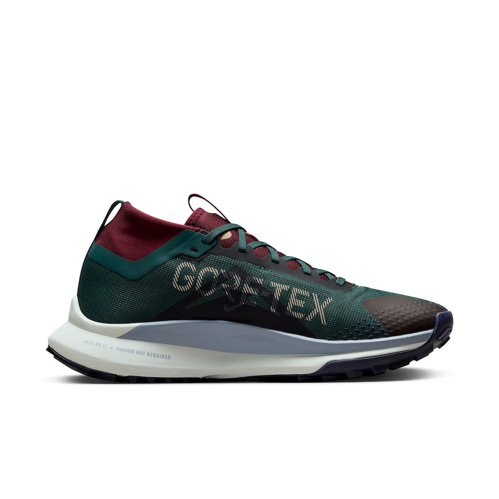 Nike Laufschuh »PEGASUS TRAIL 4 GORE-TEX WATERPROO«