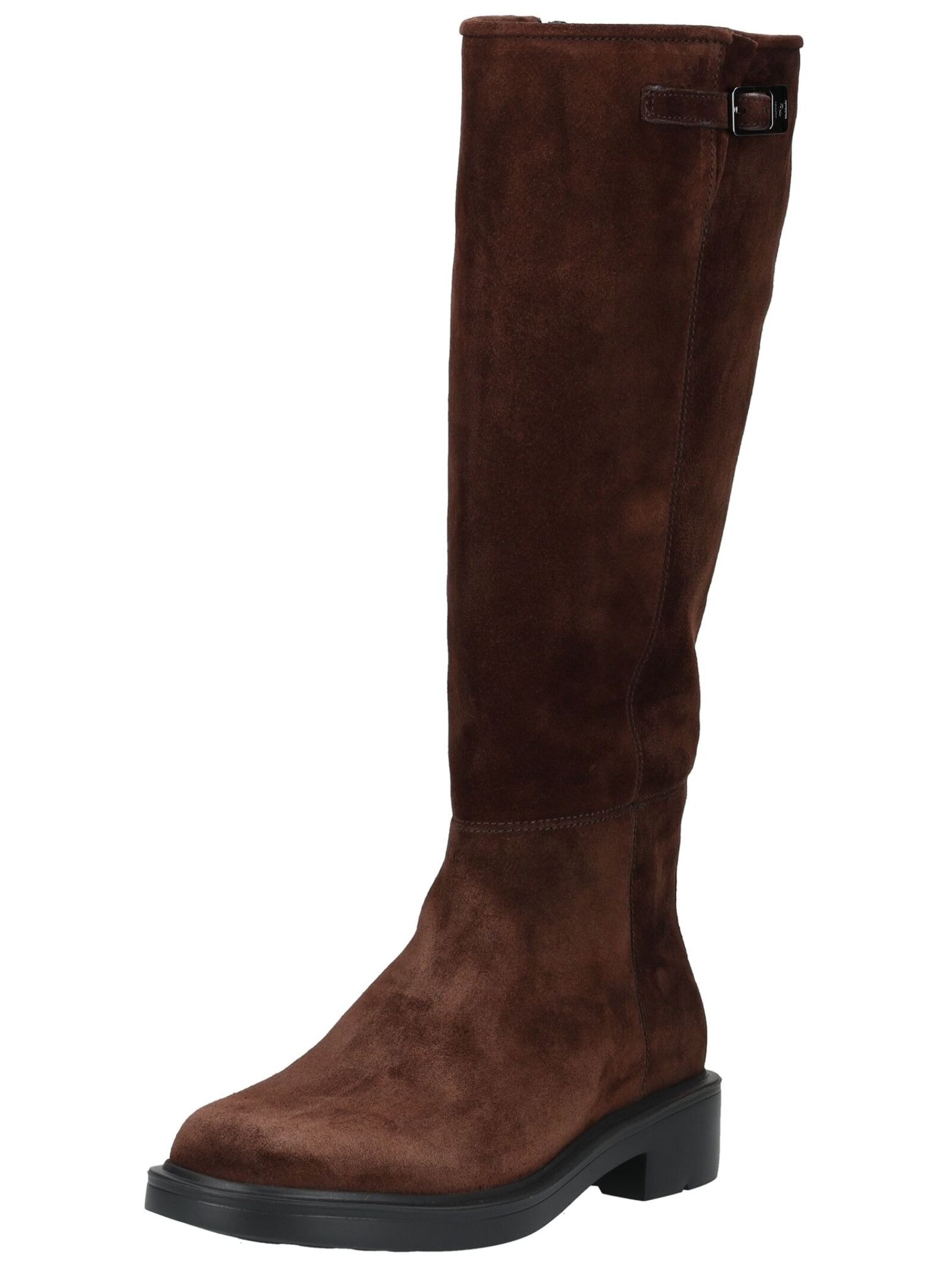 Högl Stiefel "Högl Stiefel Veloursleder" günstig online kaufen