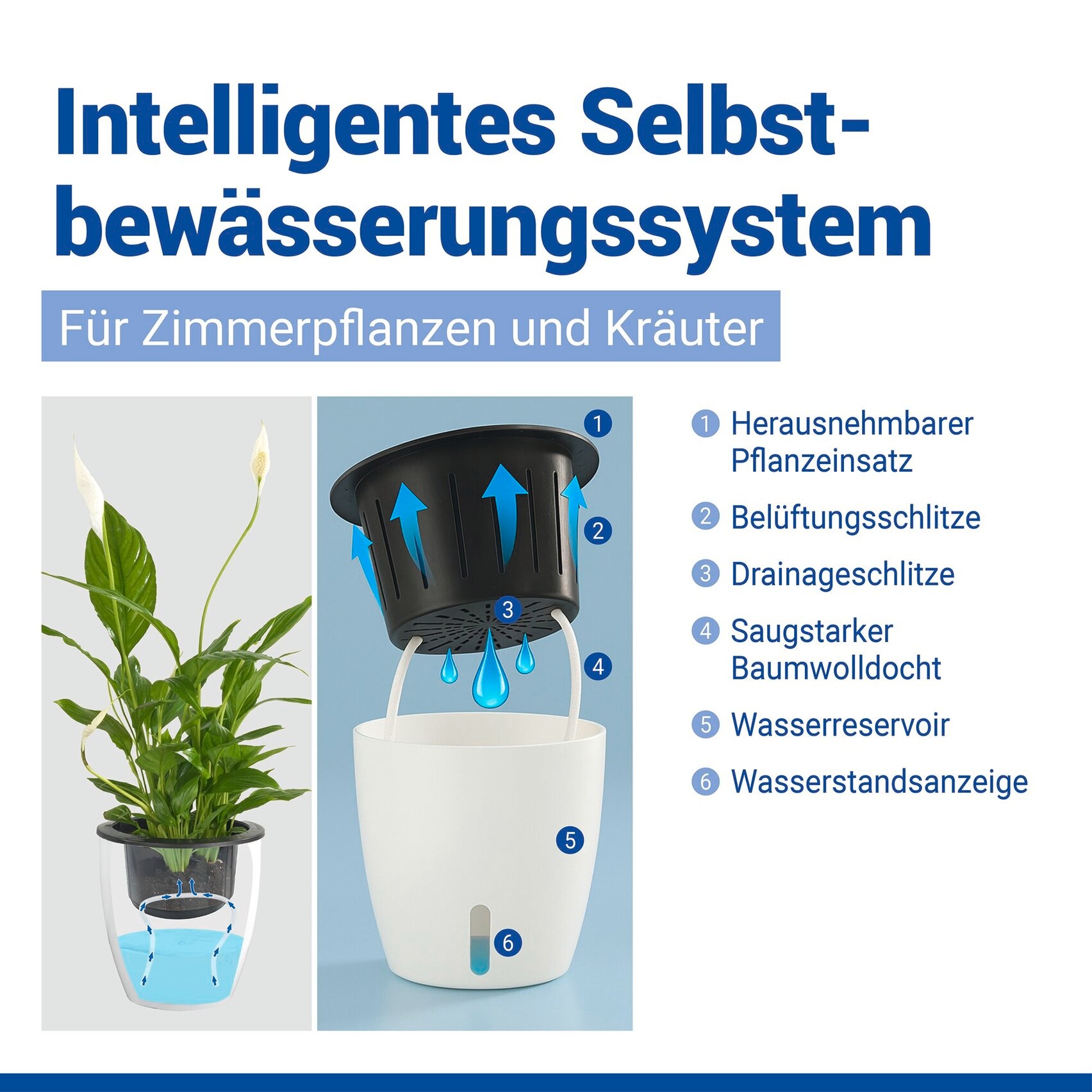 Maximex Pflanzschale »Selbstbewässernde Pflanztöpfe« 13x13,5 cm, mit Wasserstandsanzeige