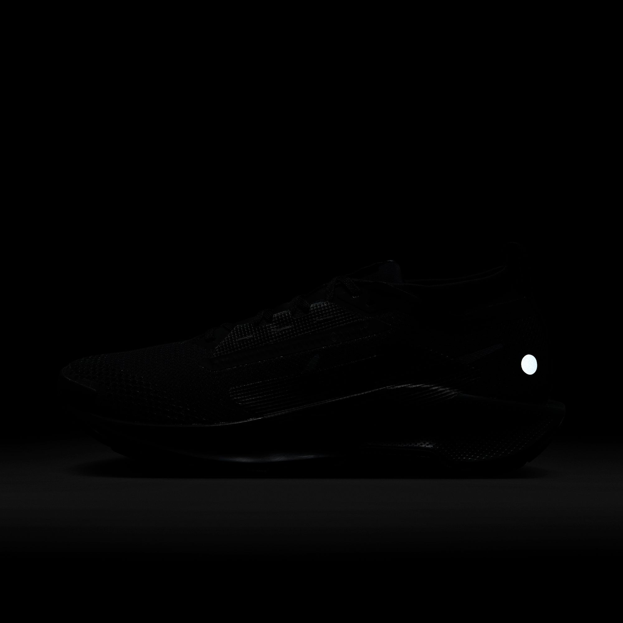 Nike Laufschuh »NIKE PEGASUS TRAIL 5 GTX«  wasserdicht