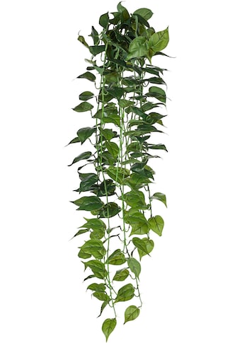 Creativ green Kunstranke »Philodendron-Hänger«