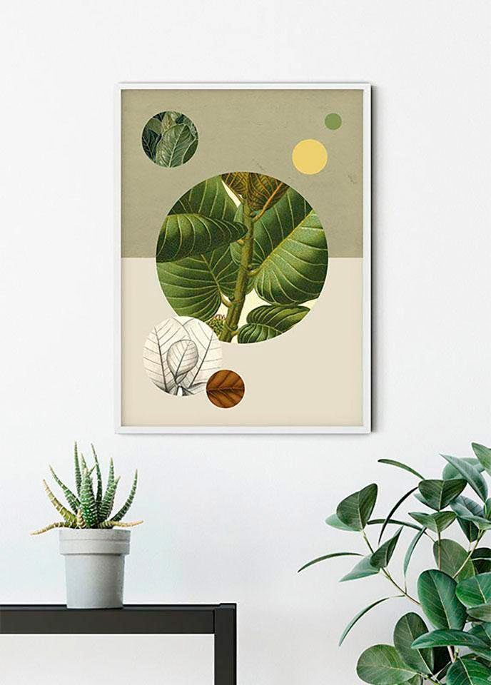 Komar Bild »Green Structure«, Pflanzen-Blätter, (1 St.), Wandbild zur Dekoration - ohne Rahmen