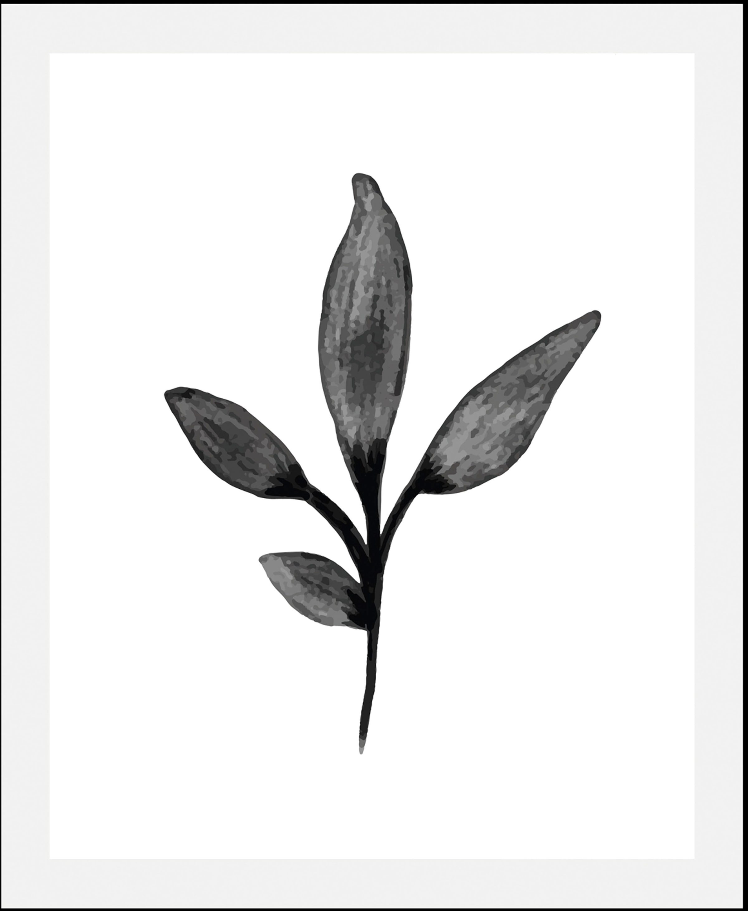 queence Bild "Hille" Art  Blumen  Kunst  Pflanzen  Pflanzenbilder  Schwarz- günstig online kaufen