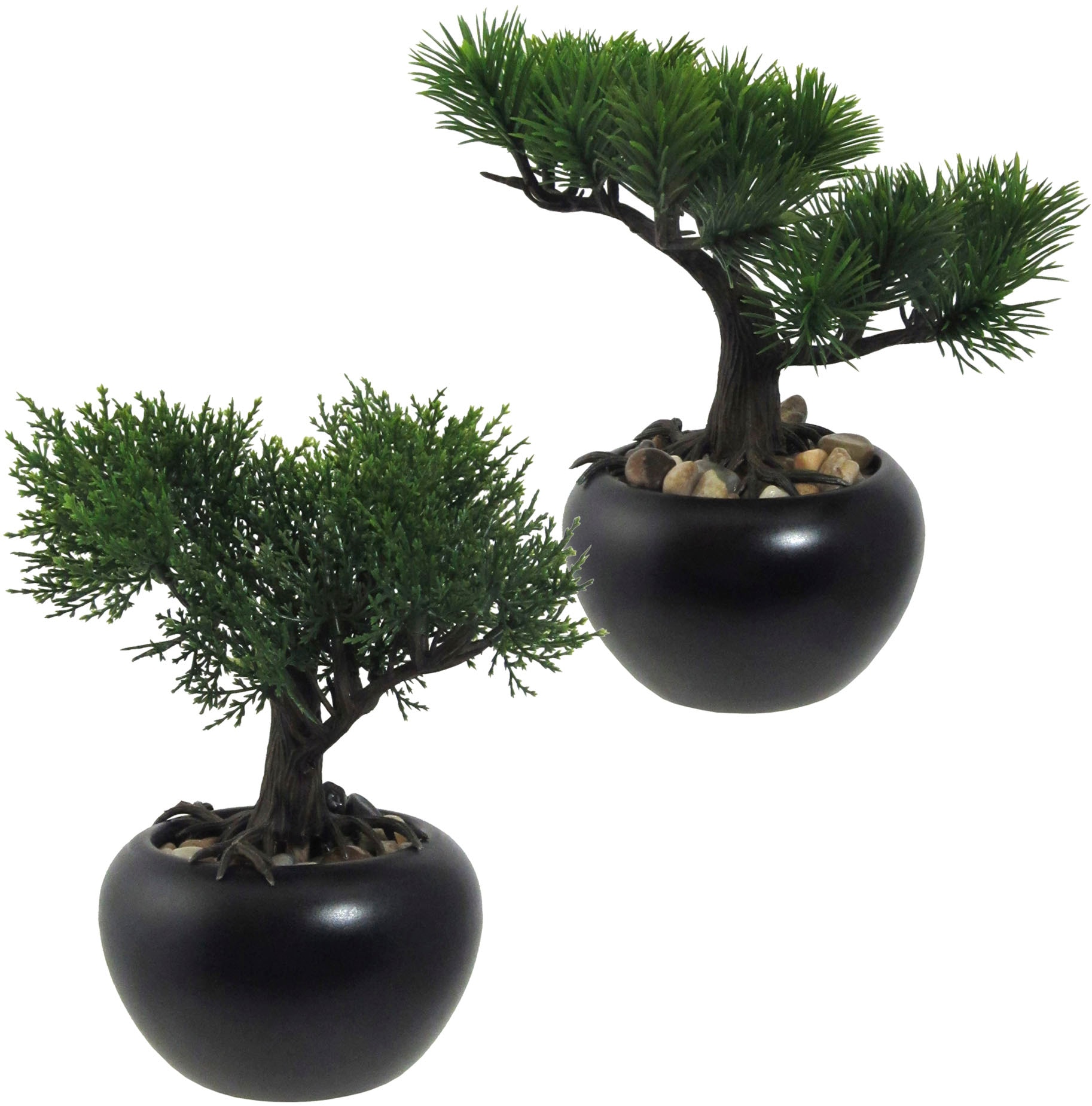 Kunstbonsai »Bonsai Kiefer und Zeder«, mit Kies