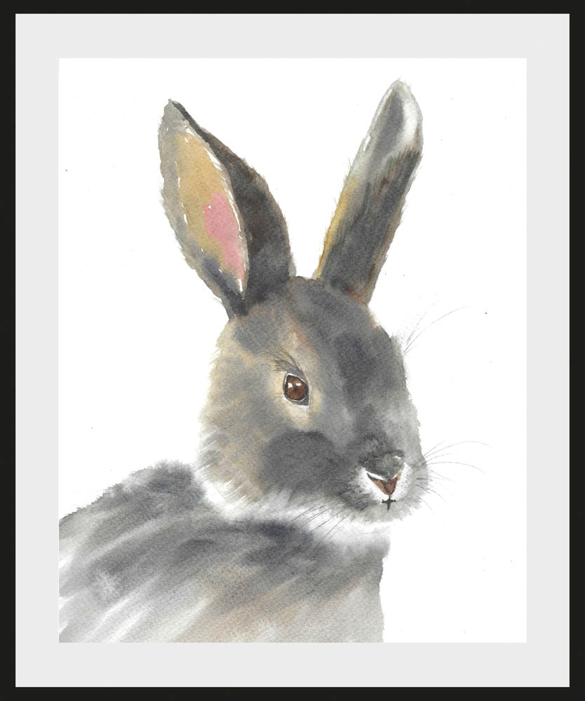queence Bild "Alexo", Hase-Hasen-Haustiere-Kunst, (1 St.), mit Rahmen, schw günstig online kaufen