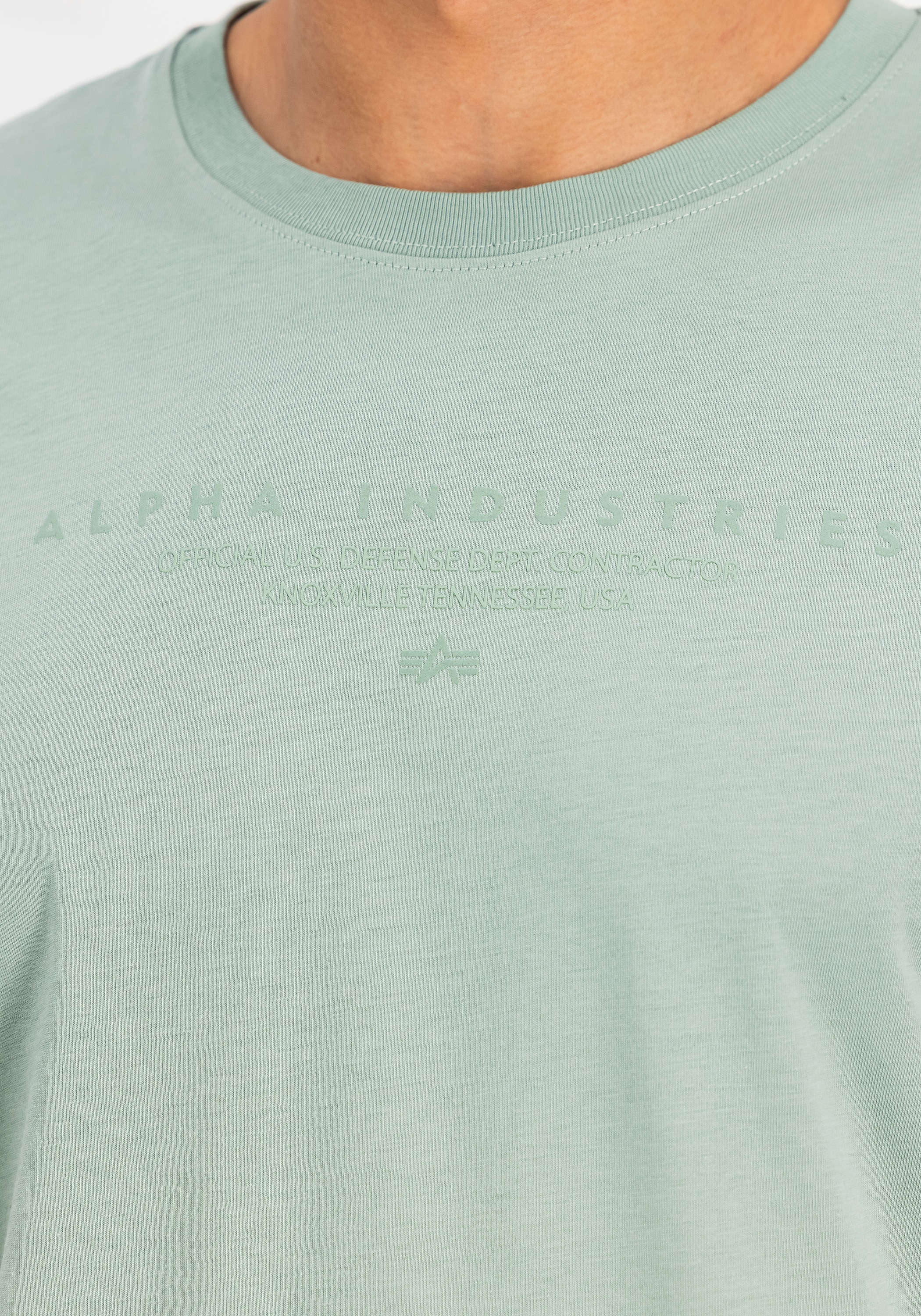 Alpha Industries T-Shirt »DTM Alpha T-Shirt«