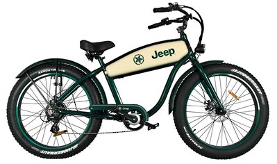 E-Bike »CR 7004«, 7 Gang, Heckmotor 250 W, (mit Akku-Ladegerät)