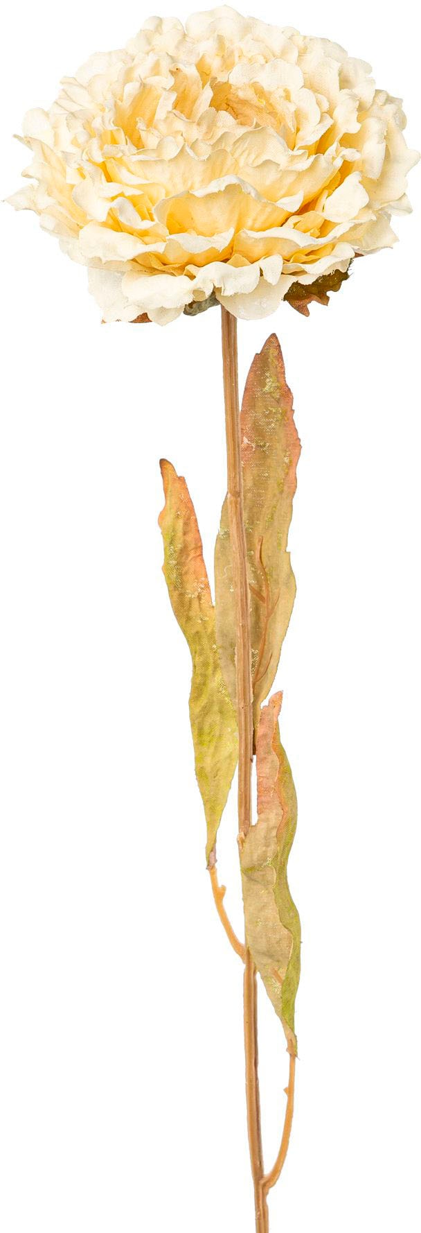 Creativ green Kunstblume »Peonie«