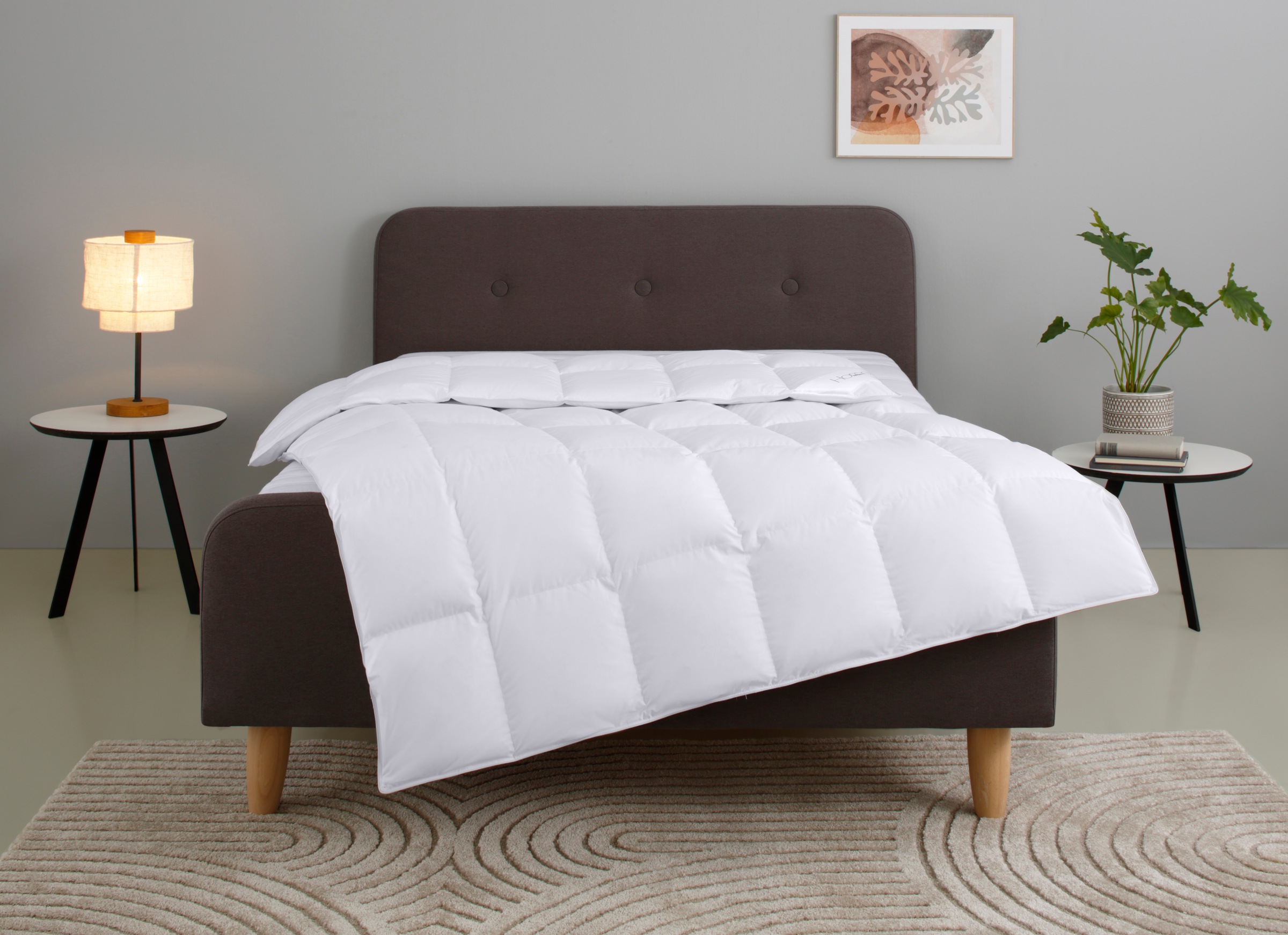 Home affaire Gänsedaunenbettdecke "Litrone, Bettdecke 135x200 cm, 155x220 c günstig online kaufen