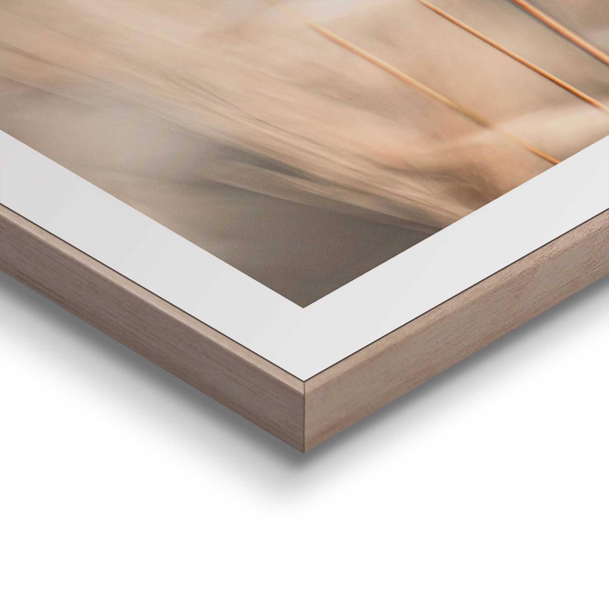 Reinders! Poster REINDERS "Plumes", beige (farbe bild(er): beige), B:30cm H:40cm T:1,6cm, Bilder, Poster, Wohnzimmer - Grasfedern - Beige - MDF - Blumen und Pflanzen - 30x40 cm 3