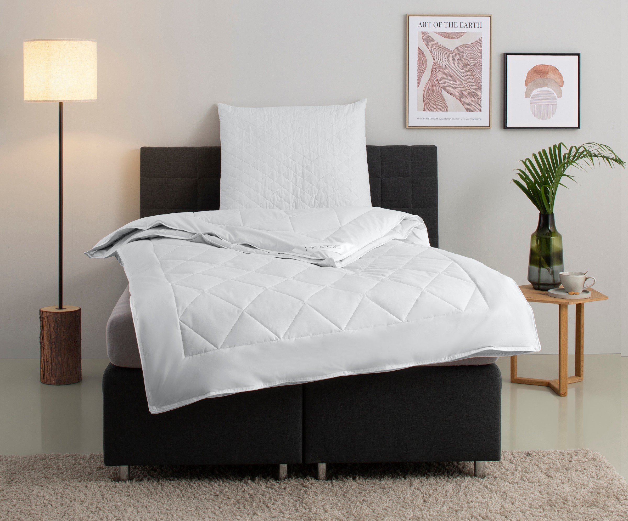 Home affaire Naturhaarbettdecke "Chailley Bettdecke in 135x200 cm und 155x2 günstig online kaufen