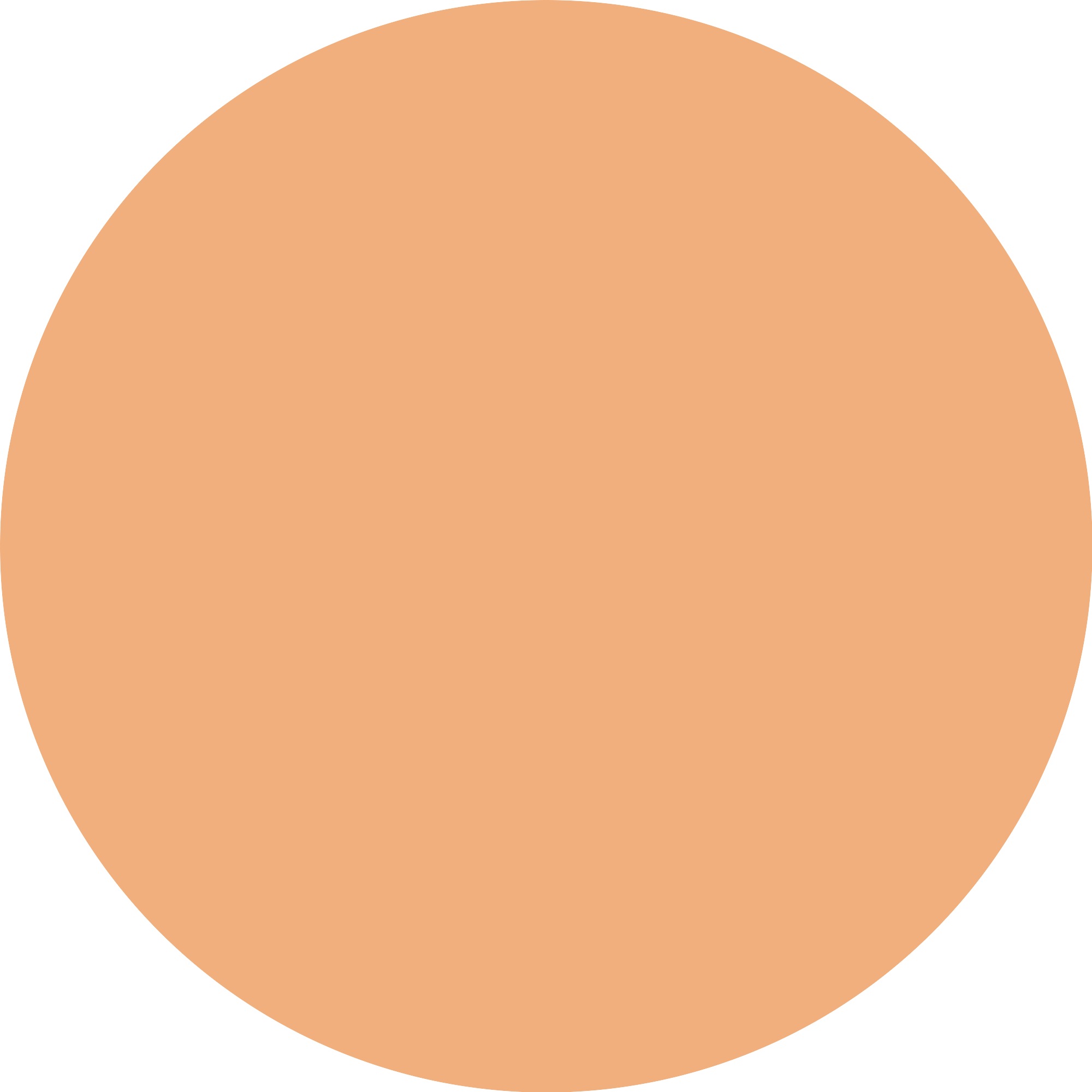 Essence Highlighter »aloha, babes! flower highlighter«, (Set, 4 tlg.), Strahlender Glow mit Roségold-Highlighter für jeden Look.
