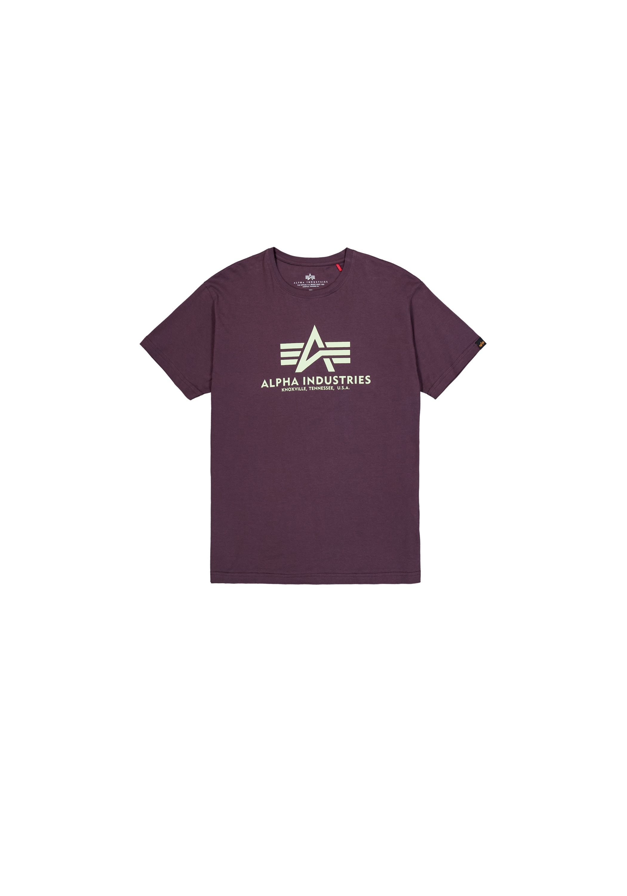 Alpha Industries T-Shirt »Basic T-Shirt BL«