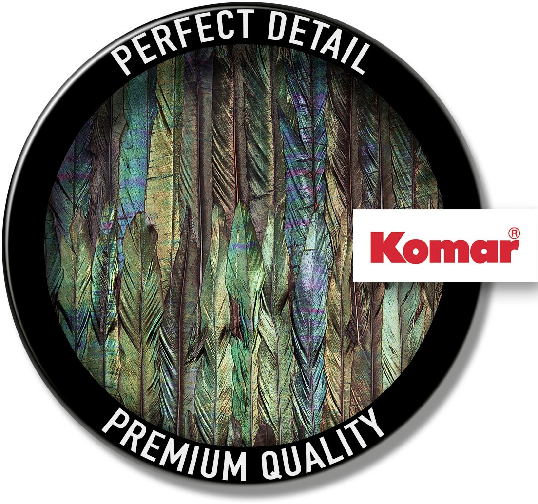 Komar Vliestapete »Digitaldruck Vlies -  Dark Wings - Größe 200 x 250 cm« bedruckt glatt Wohnzimmer, Schlafzimmer