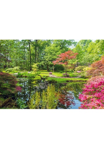 Fototapete »GARTEN-BLUMEN BÄUME PFLANZEN STEINE WALD PARK BLÜTEN«