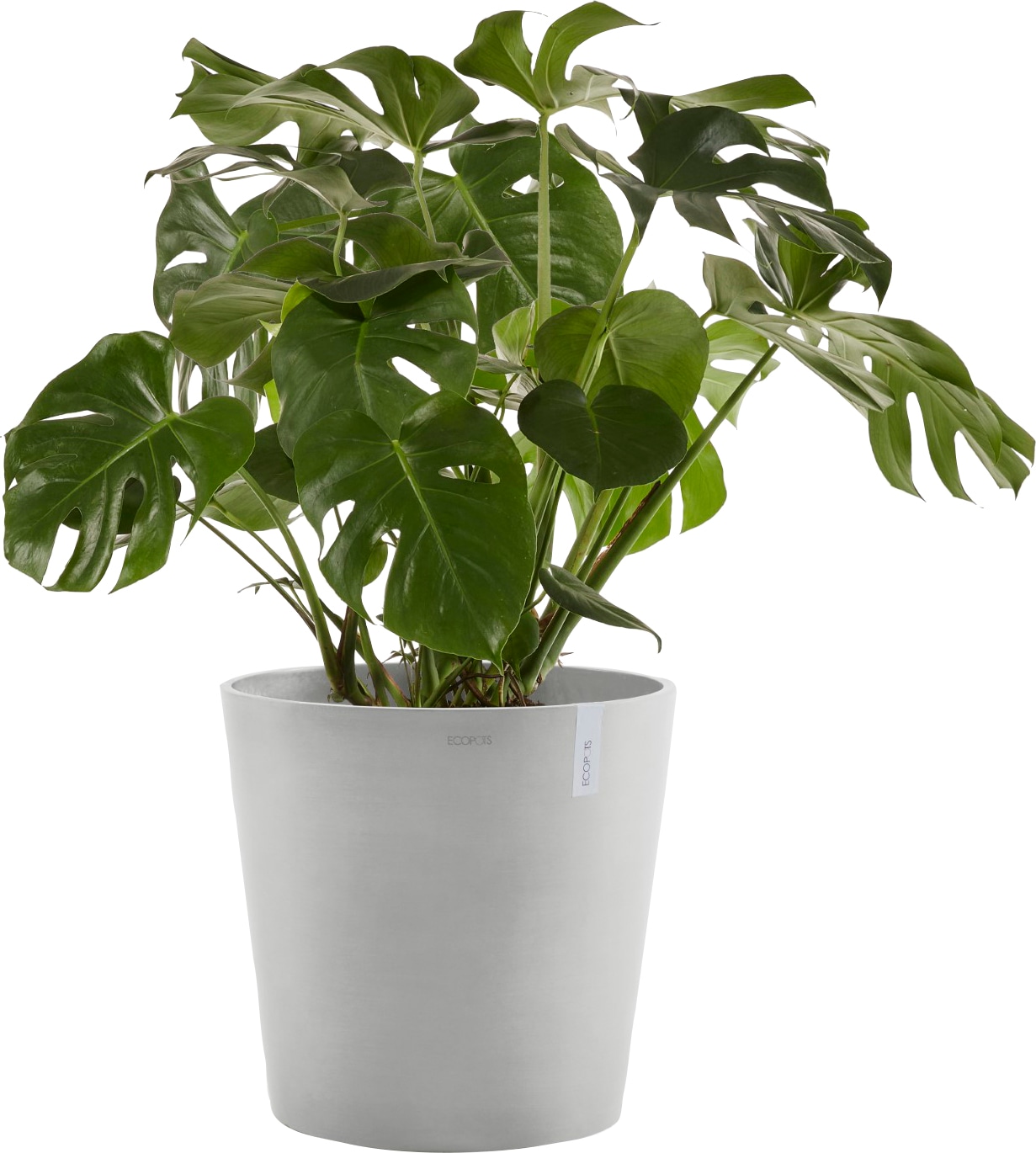 ECOPOTS Blumentopf »AMSTERDAM White Grey«, BxTxH: 50x50x43,8 cm, mit  Wasserreservoir kaufen | BAUR