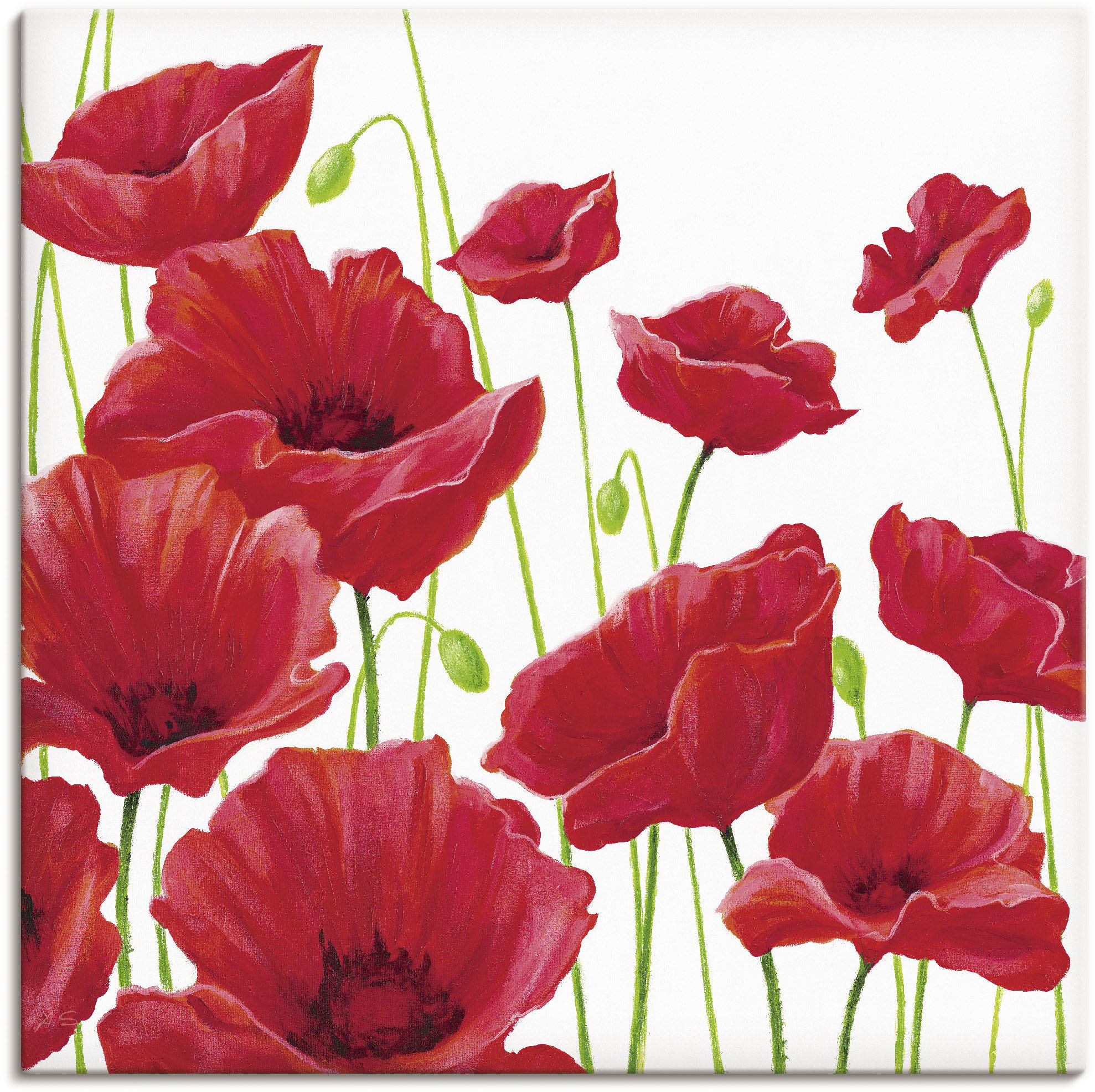 Artland Wandbild "Rote Mohnblumen I" Blumen 1 Stk. tlg. als Leinwandbild, Poster in verschied. Größen