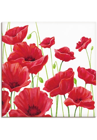 Artland Paveikslas »Rote Mohnblumen I« Blumen ...