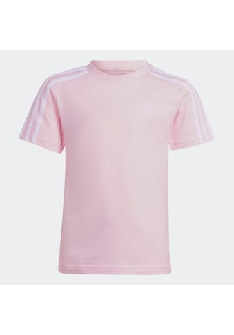 adidas Sportswear Marškinėliai »LK 3S CO TEE«