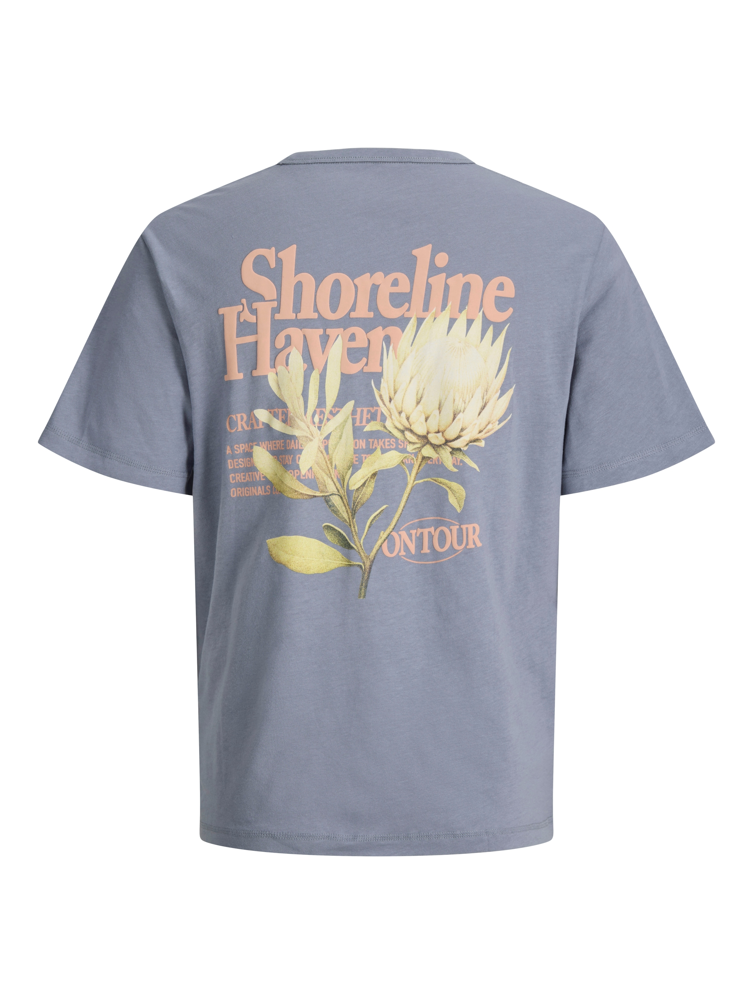 Jack & Jones T-Shirt »JORMONTAUK MULTICOLOR GRAPHIC TEE CN«