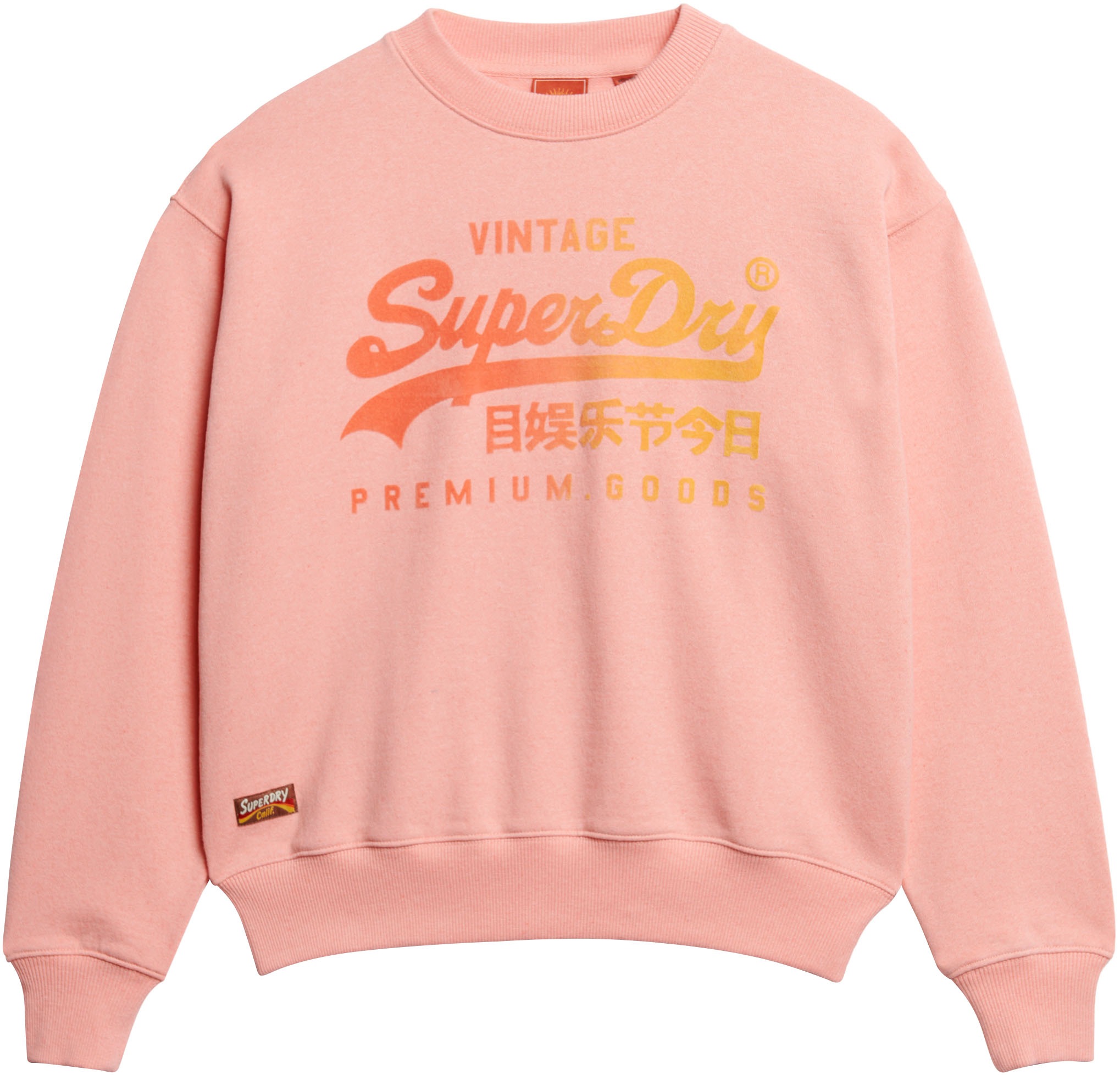 Superdry Sweatshirt »TONAL VL LOOSE SWEATSHIRT«