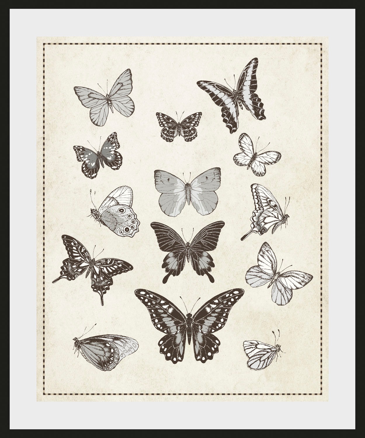 queence Bild »Pamela« Insekten | Kunst | Schmetterlinge | historische Ereignisse 1 Stk. tlg. HD Premium Poster-Druck inkl. Holzrahmen