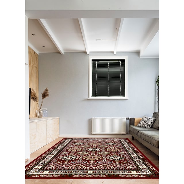 my home Teppich »Diantha«, rechteckig, Orient-Optik, mit Bordüre, Kurzflor,  pflegeleicht, elegant, weich kaufen | BAUR