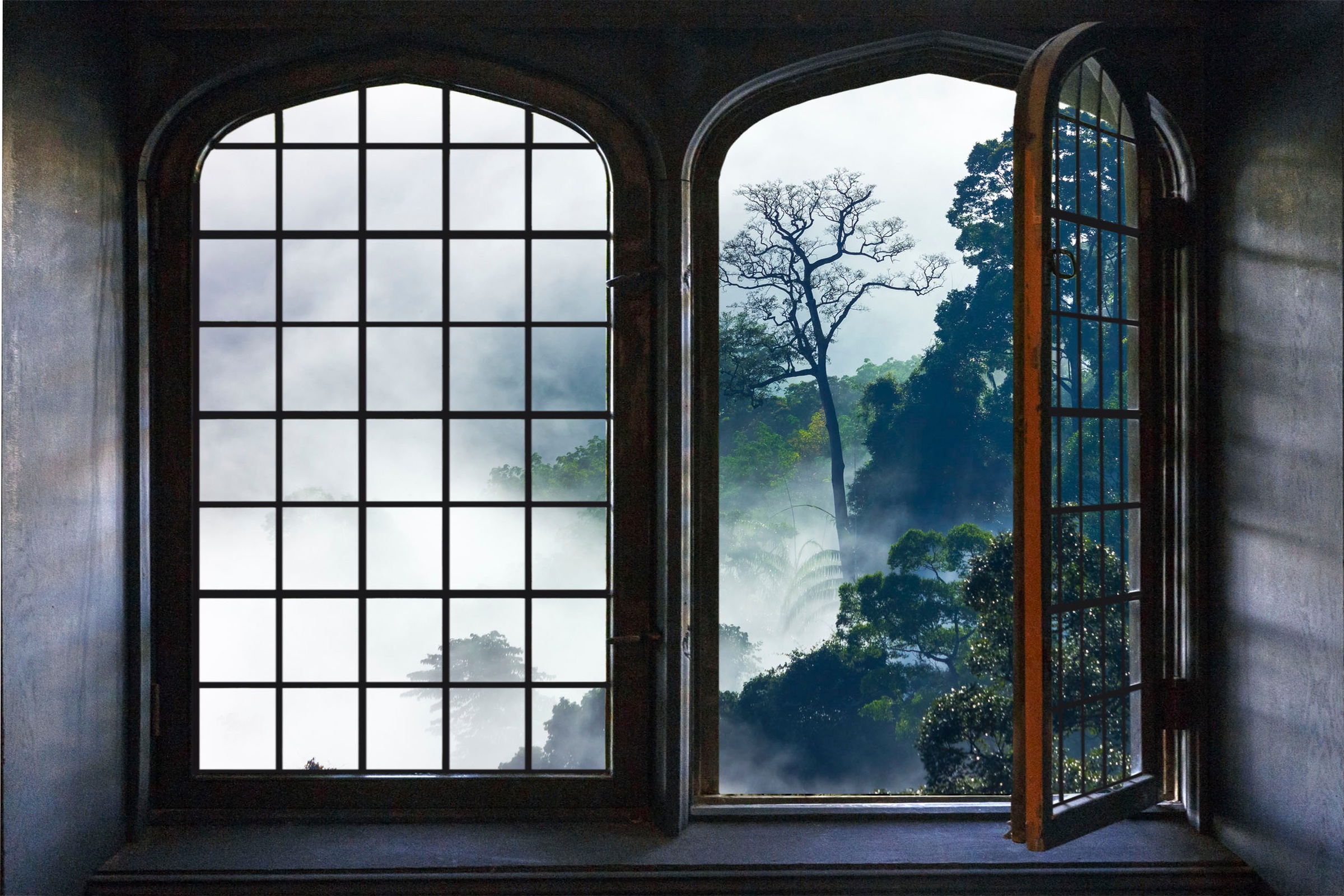 queence Wandsticker »Urwald« Wandsticker, Wandbild, selbstklebend, 3D, Fenster