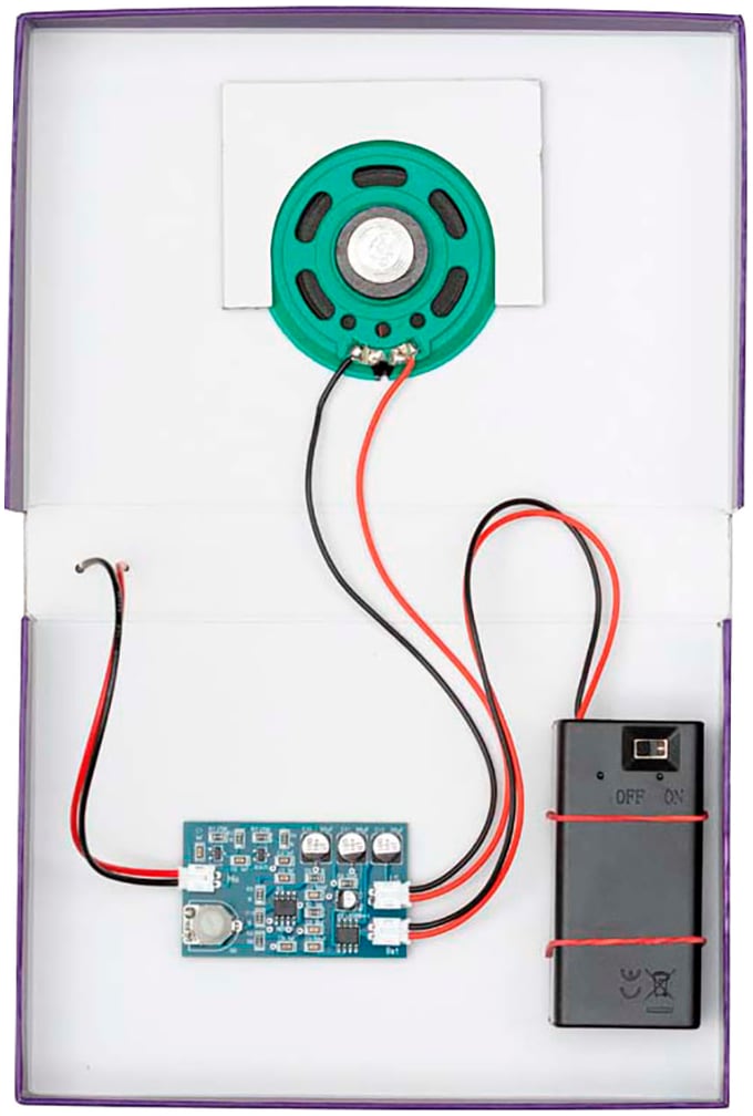 Franzis Experimentierkasten »Franzis: Checker Tobi CheXperiment Fledermaus-Check«