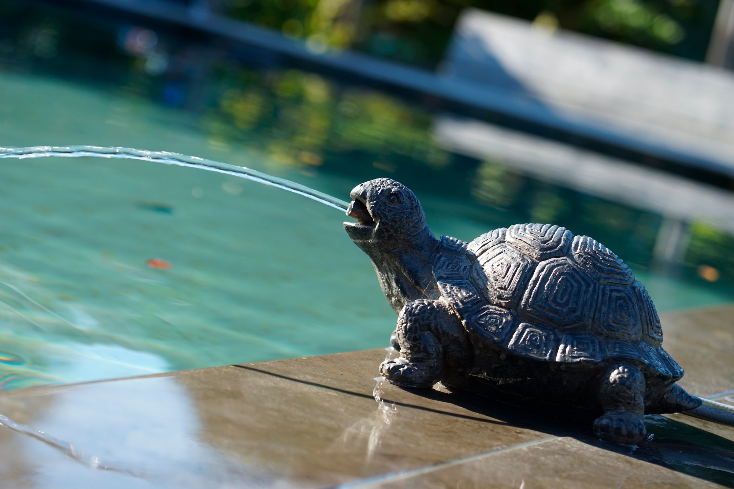 Wasserspeier »Schildkröte«, BxLxH: 18x14x21 cm