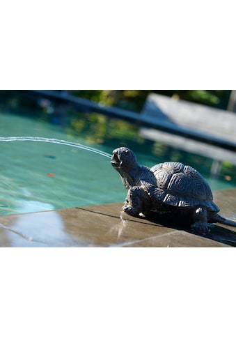 Wasserspeier »Schildkröte«
