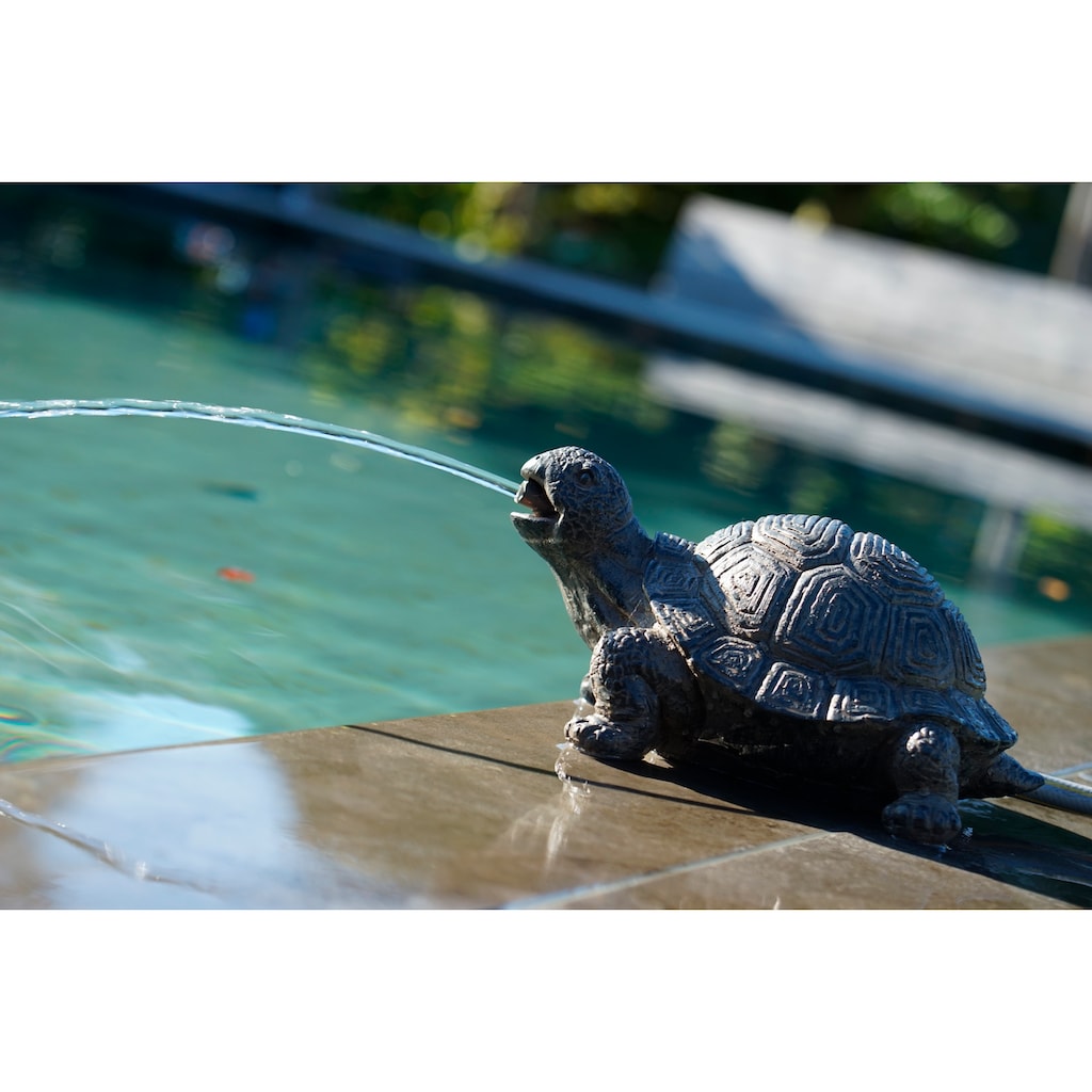 Ubbink Wasserspeier »Schildkröte«