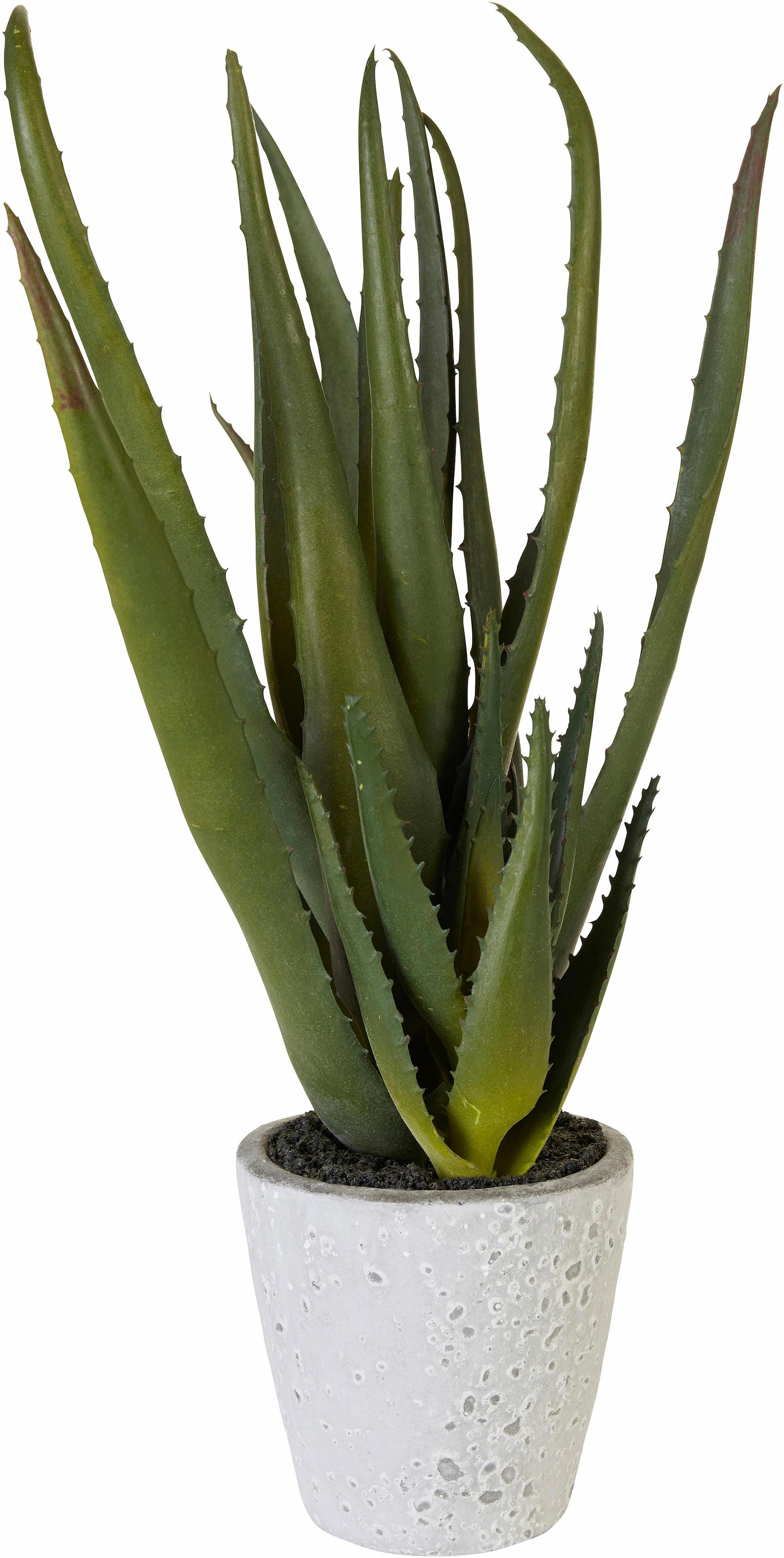 Kunstpflanze »Aloe«