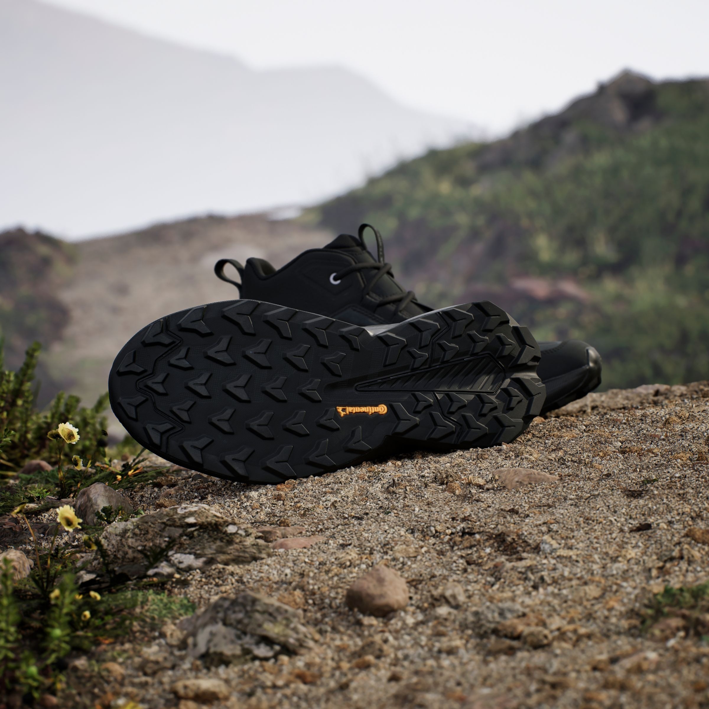 adidas TERREX Wanderschuh »TERREX TRAILMAKER 2.0 LEATHER«
