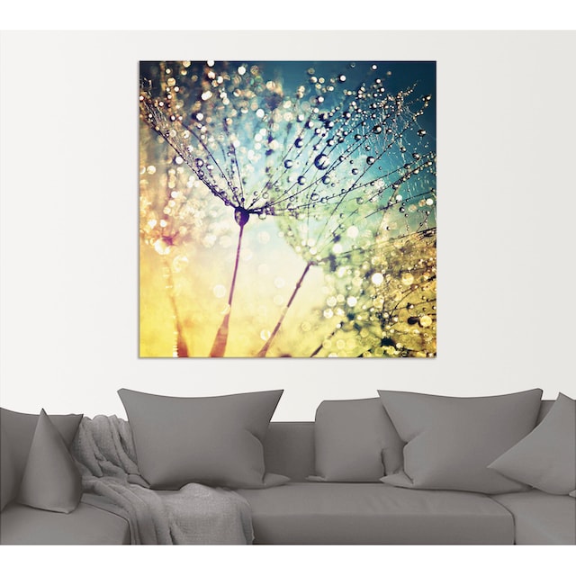 Artland Wandbild »Pusteblume Zaubertropfen«, Blumen, (1 St.), als Alubild,  Leinwandbild, Wandaufkleber oder Poster in versch. Größen kaufen | BAUR